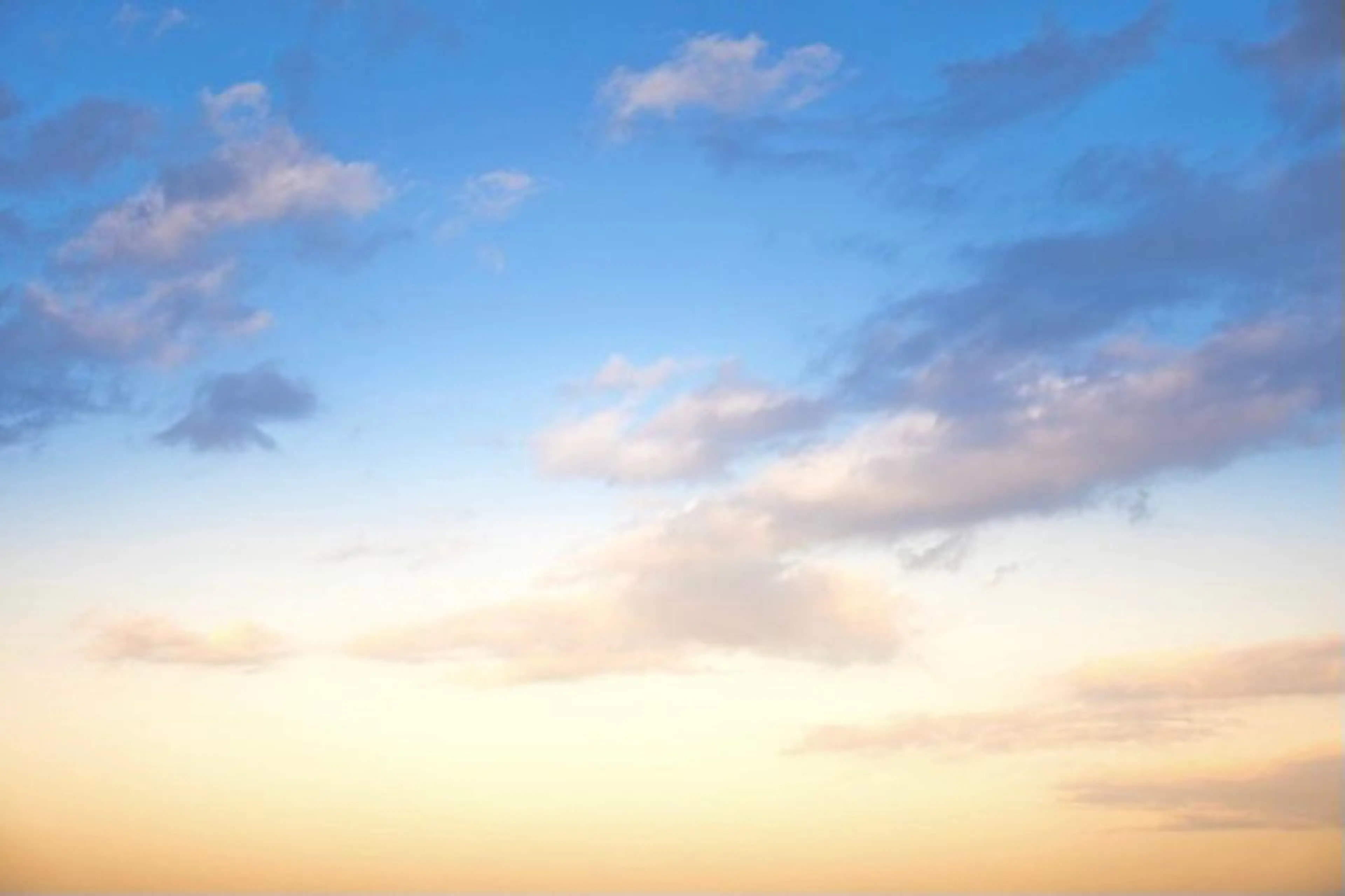 ミディアム カラー カット ヘアカラー トリートメント 似合わせカラー/艶 髪質改善/ヨシザキのヘアスタイル