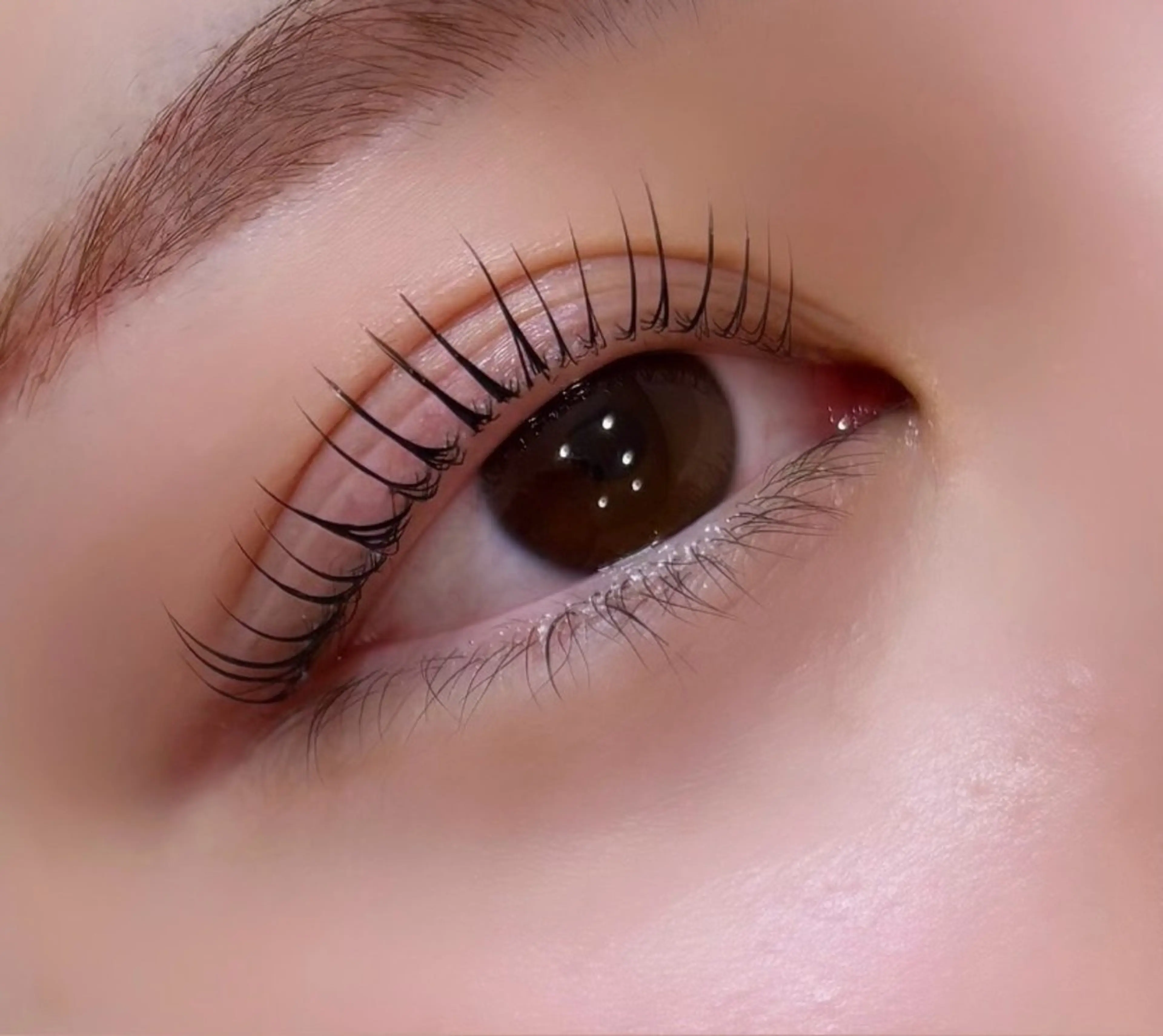 【今だけ！限定価格！】似合わせまつ毛パーマ✨コーティング仕上げ付き　¥4950→¥4180の写真