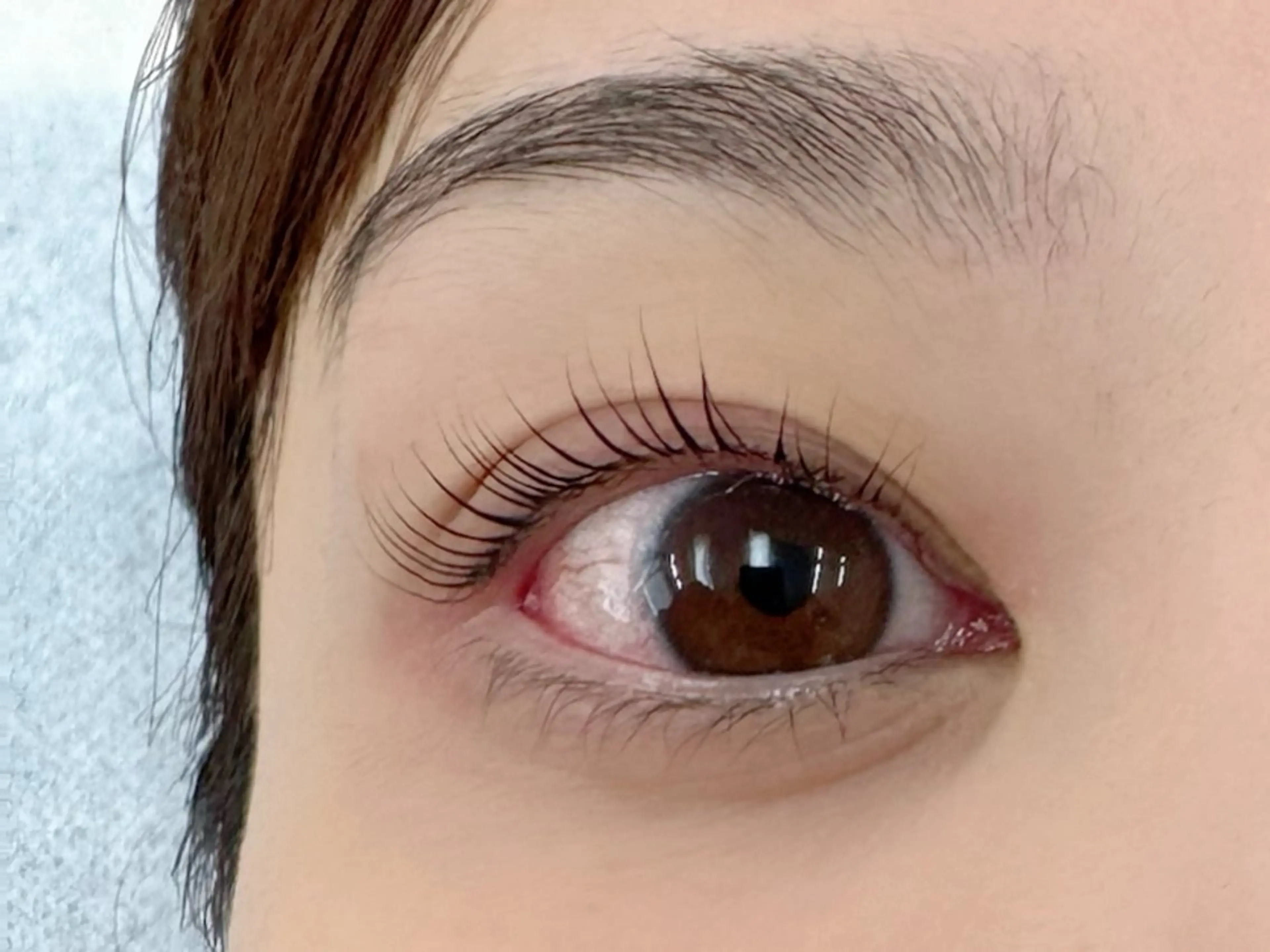 マツエク・マツパ Butterfly 🦋いのうえのその他イメージ