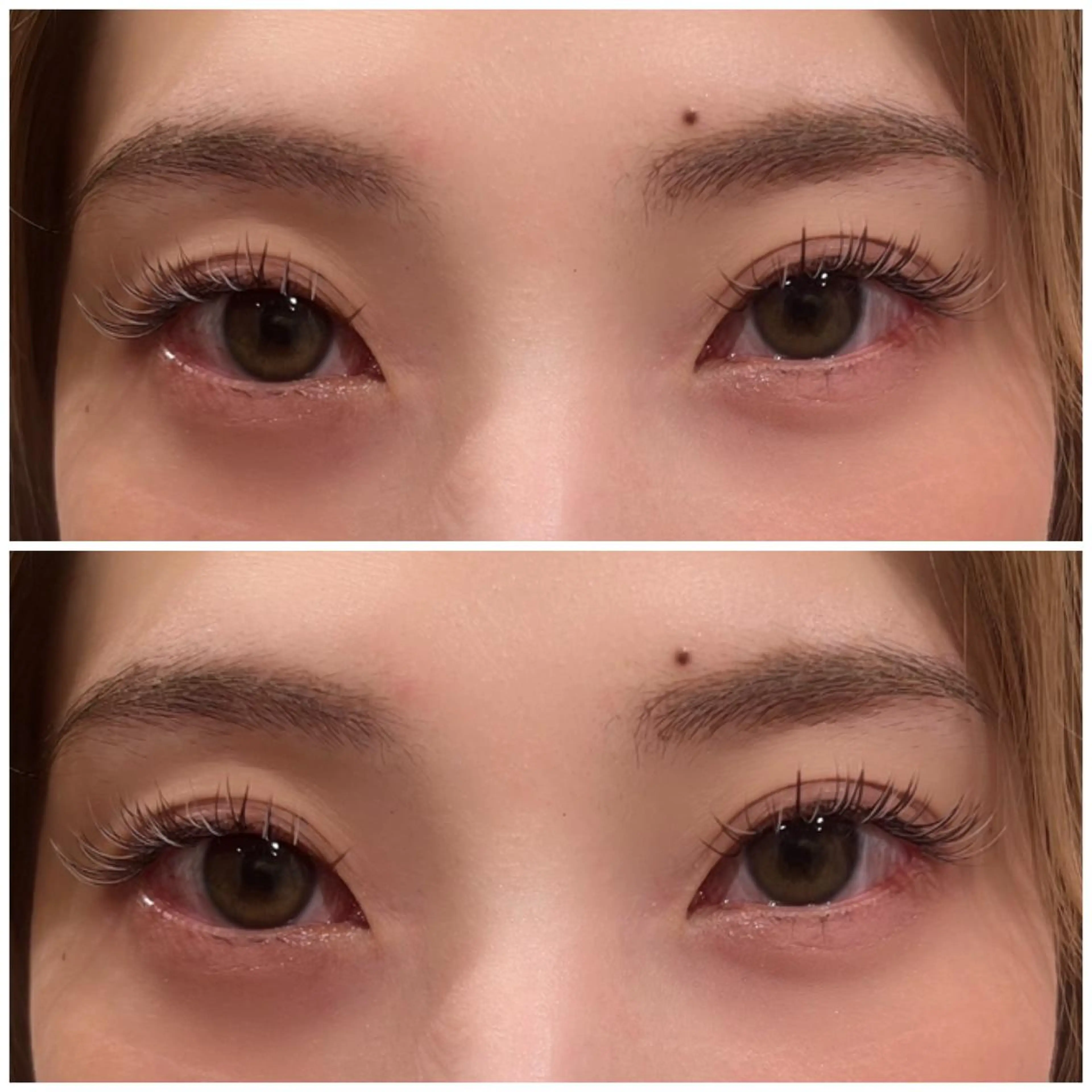 ブラウンラッシュ120本の写真