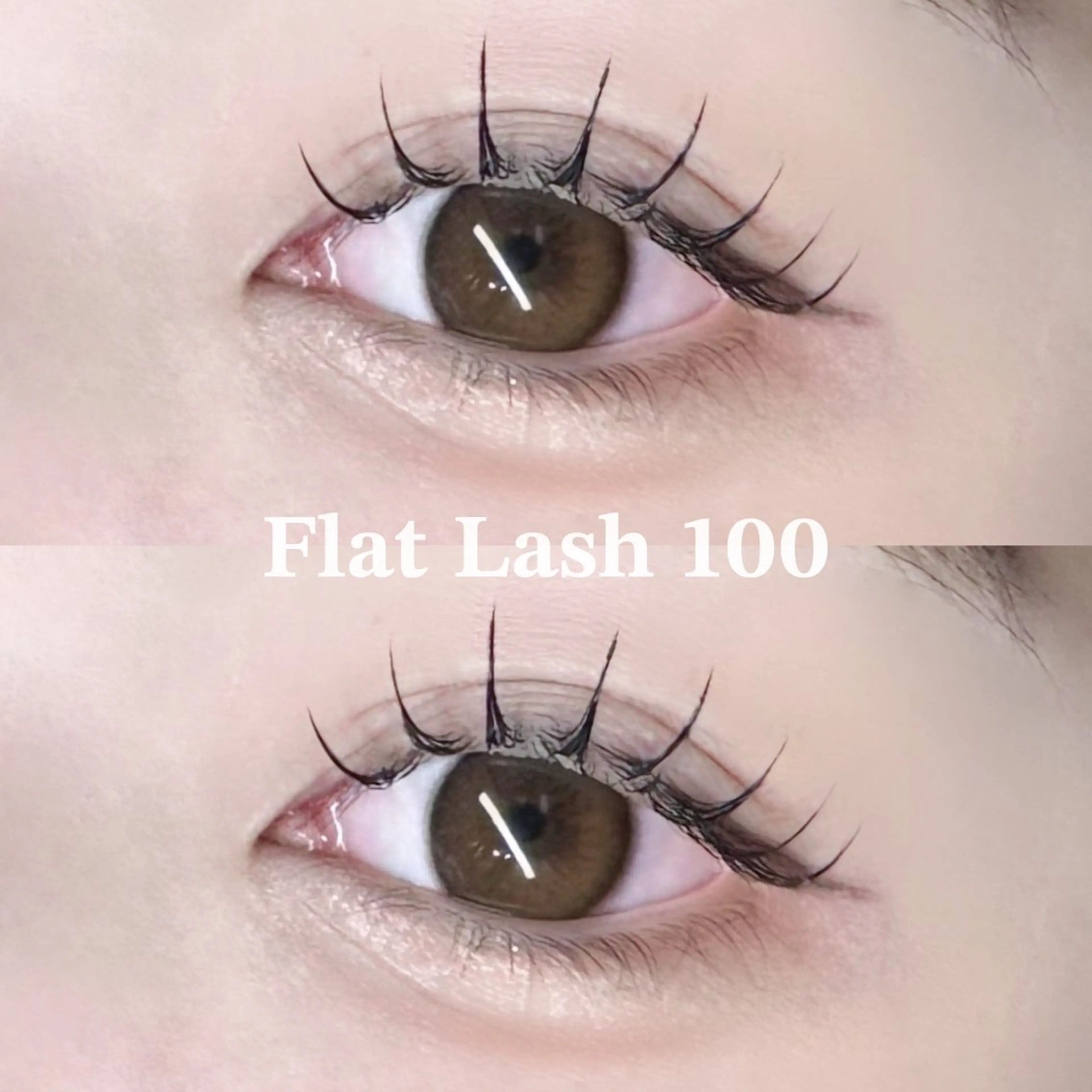 オフあり🙆🏻最高級フラットラッシュ 100本🩵ご新規様4300円/再来様5100円🪽ྀིの写真