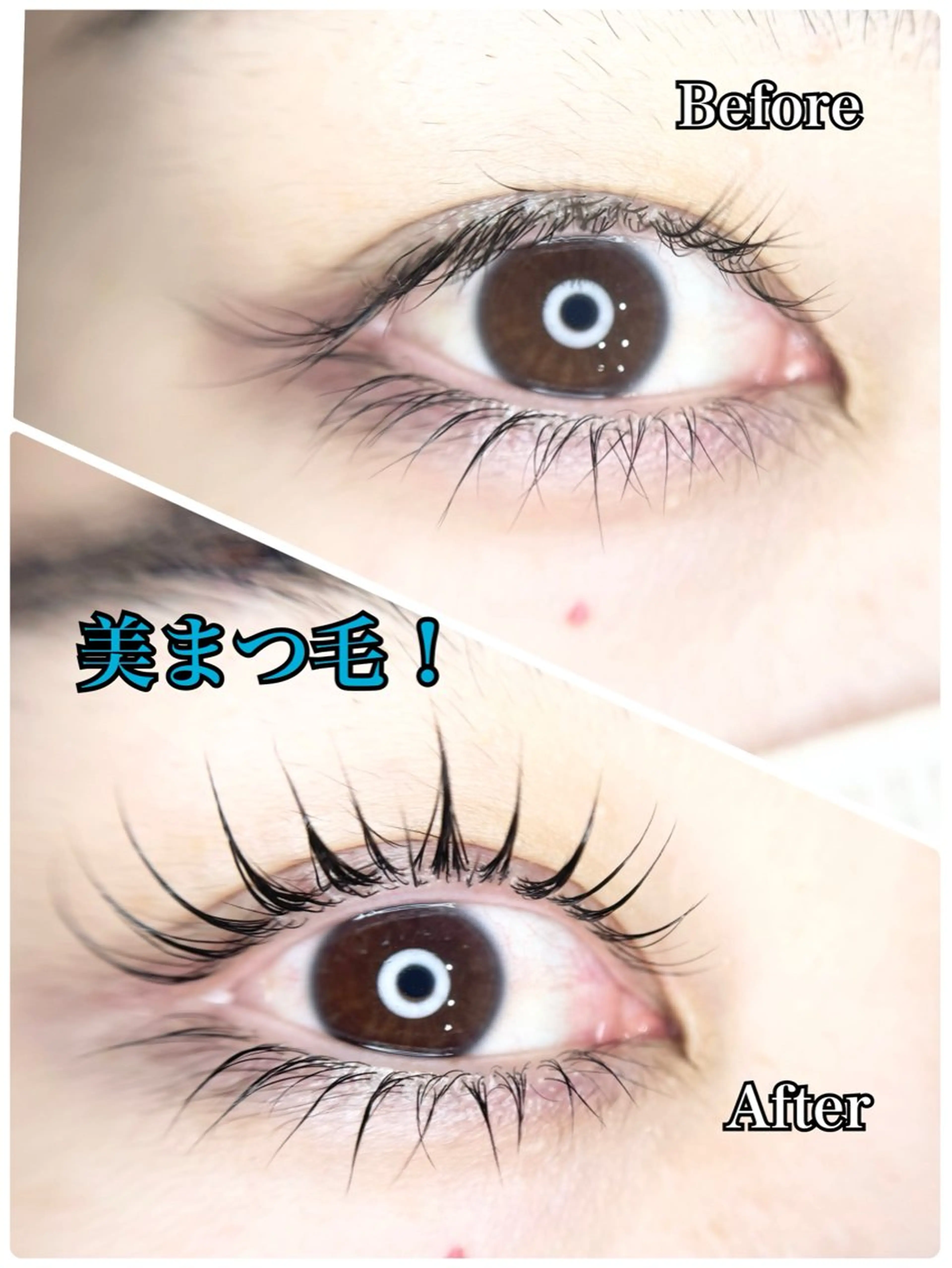 【当日限定】上下まつ毛パーマの写真