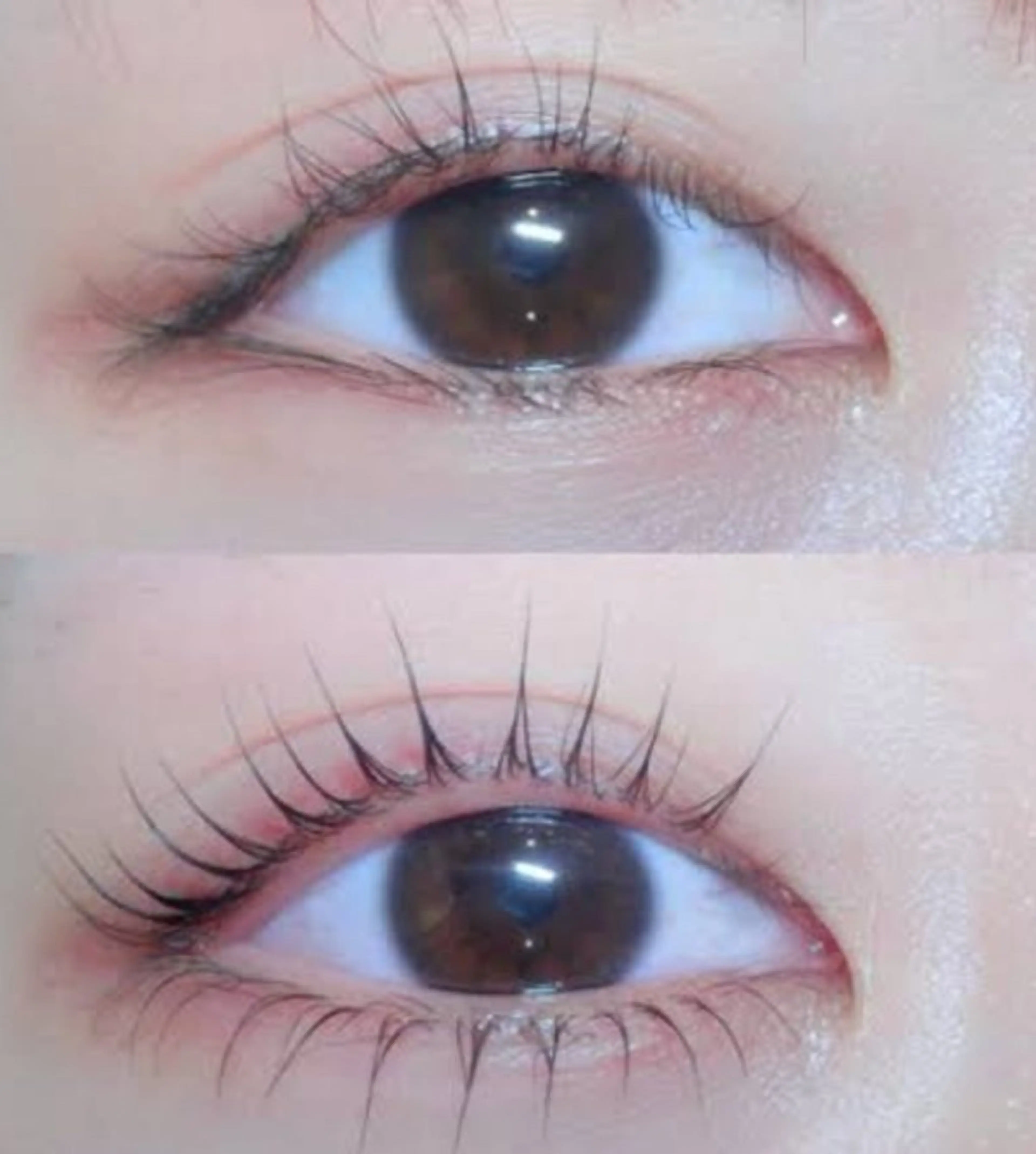 マツエク・マツパ サロン ベネ マツエク専門店のマツエク・マツパデザイン