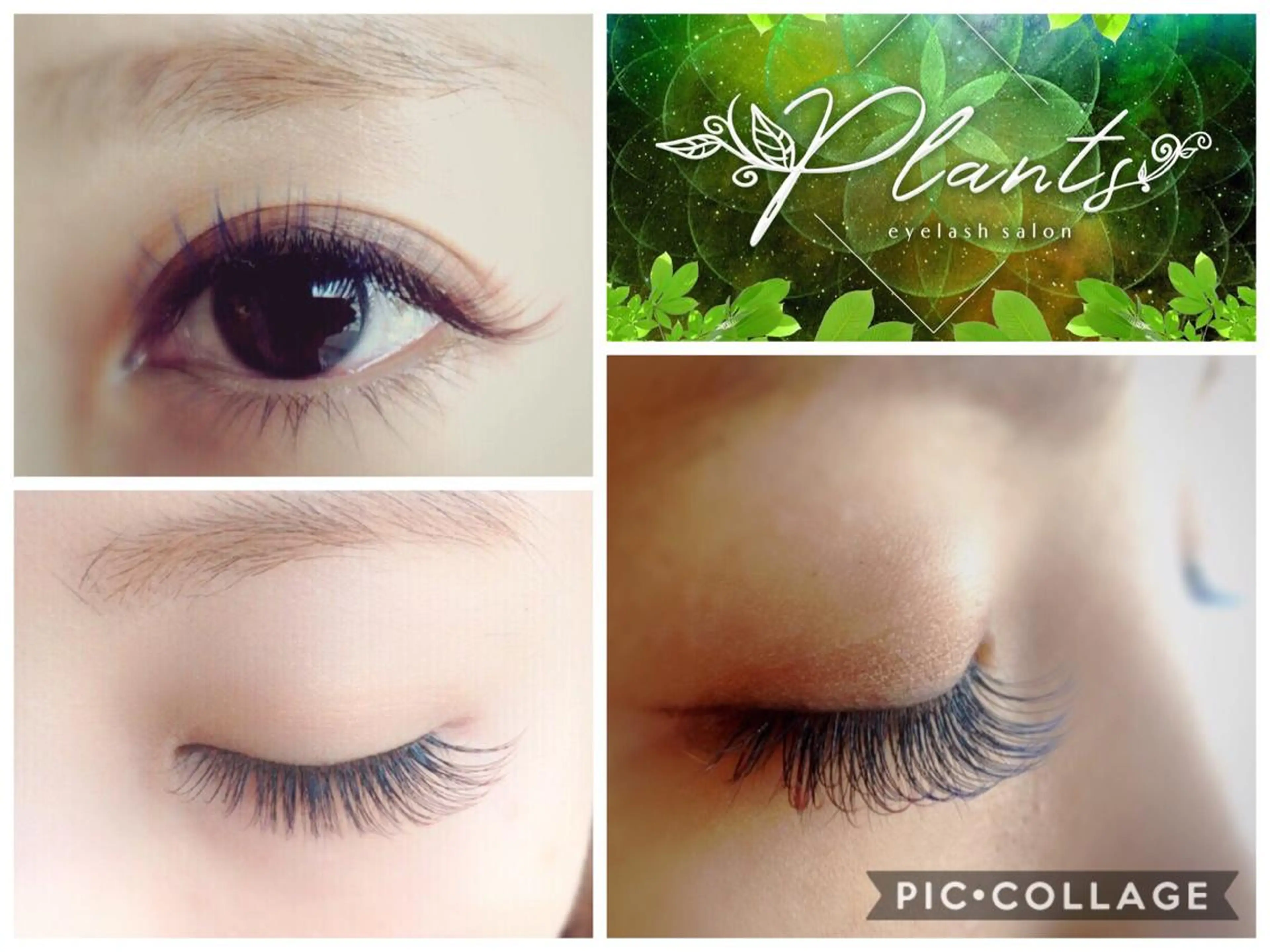 マツエク・マツパ マツエク Plants　斧田 ひろみのマツエク・マツパデザイン