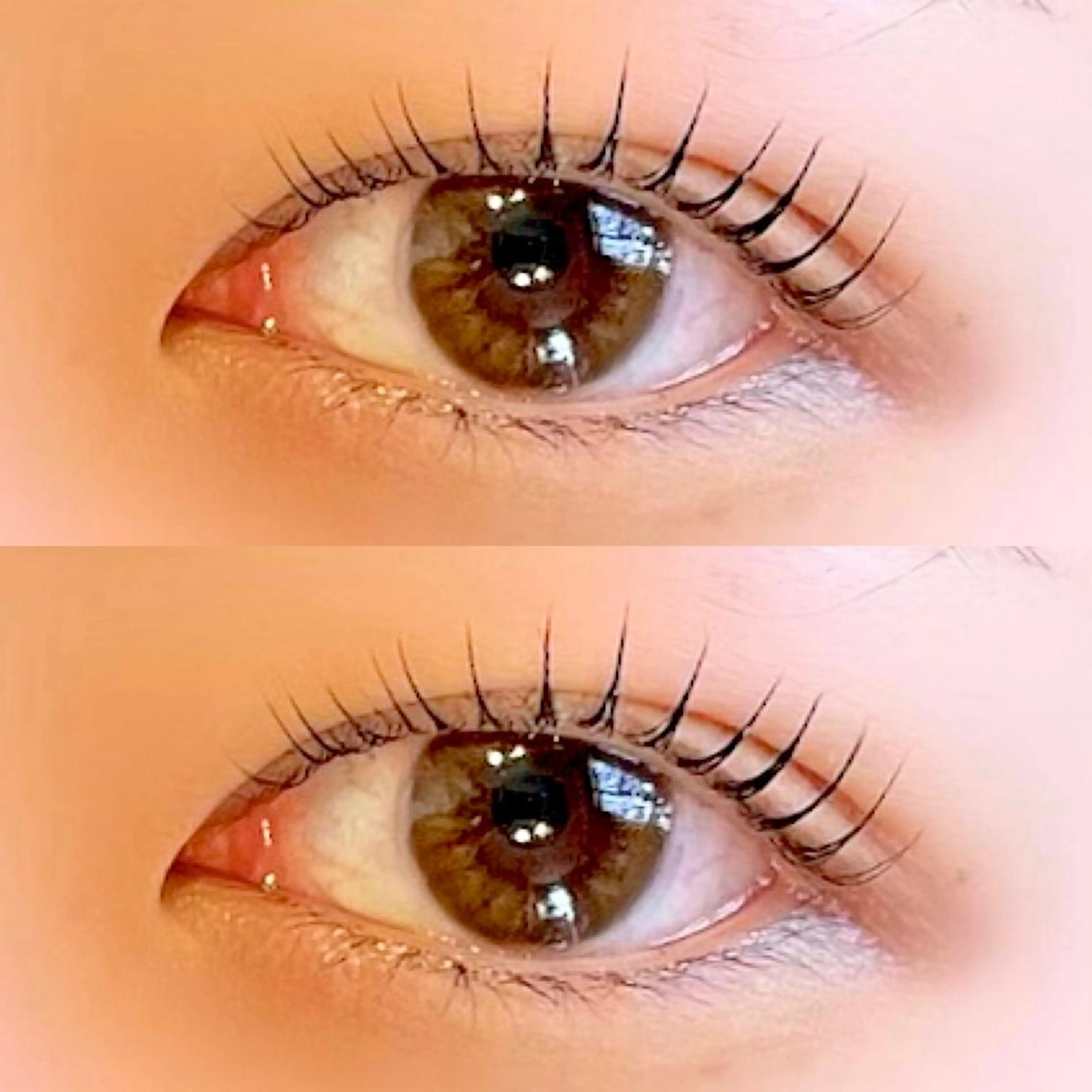 パリジェンヌラッシュリフト【上】アイシャンプー+トリートメント付き🤍公式薬剤使用🫧の写真