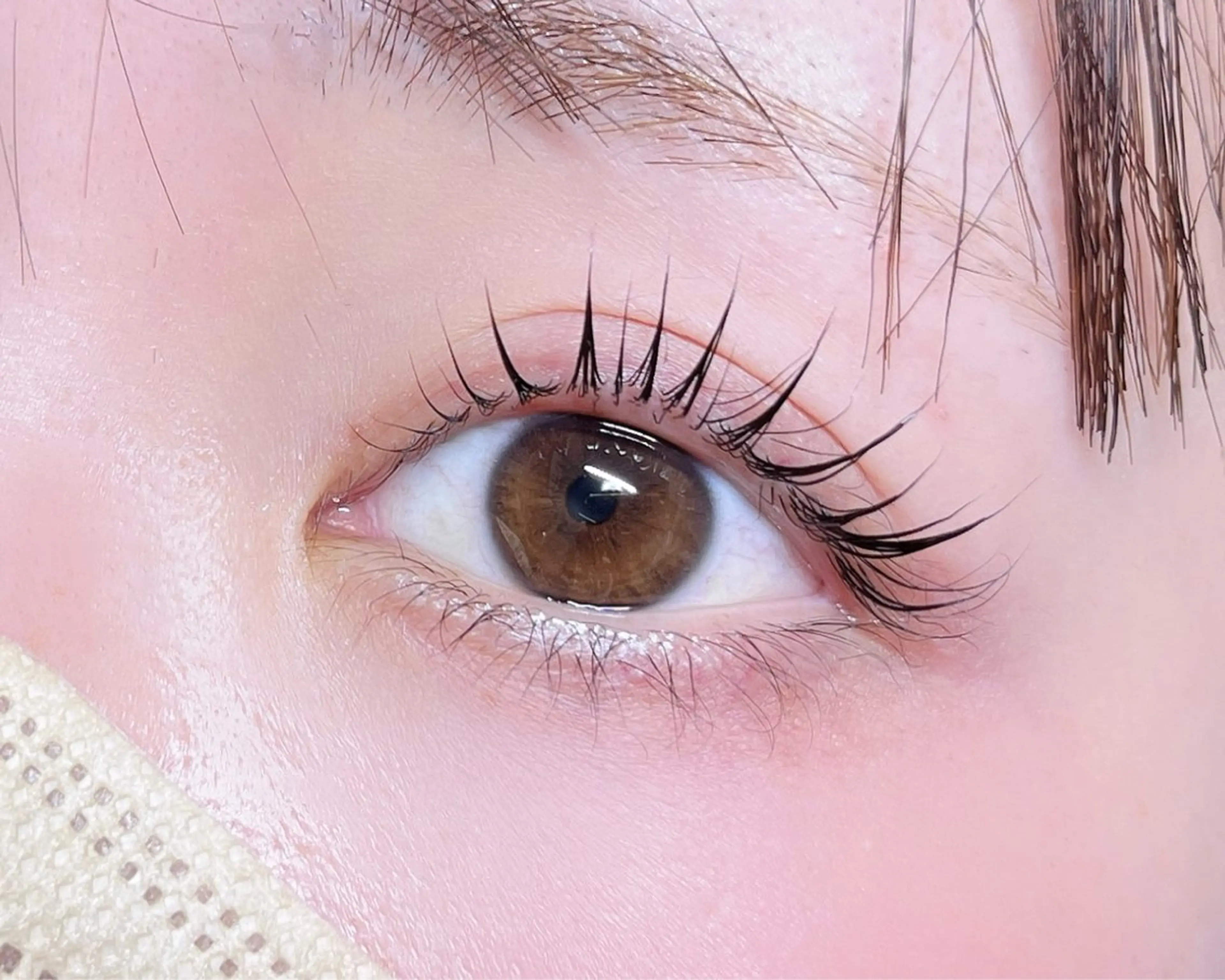 《当日限定》🎀 ラッシュリフト/まつげパーマ🎀【美容液コーティング付き】の写真