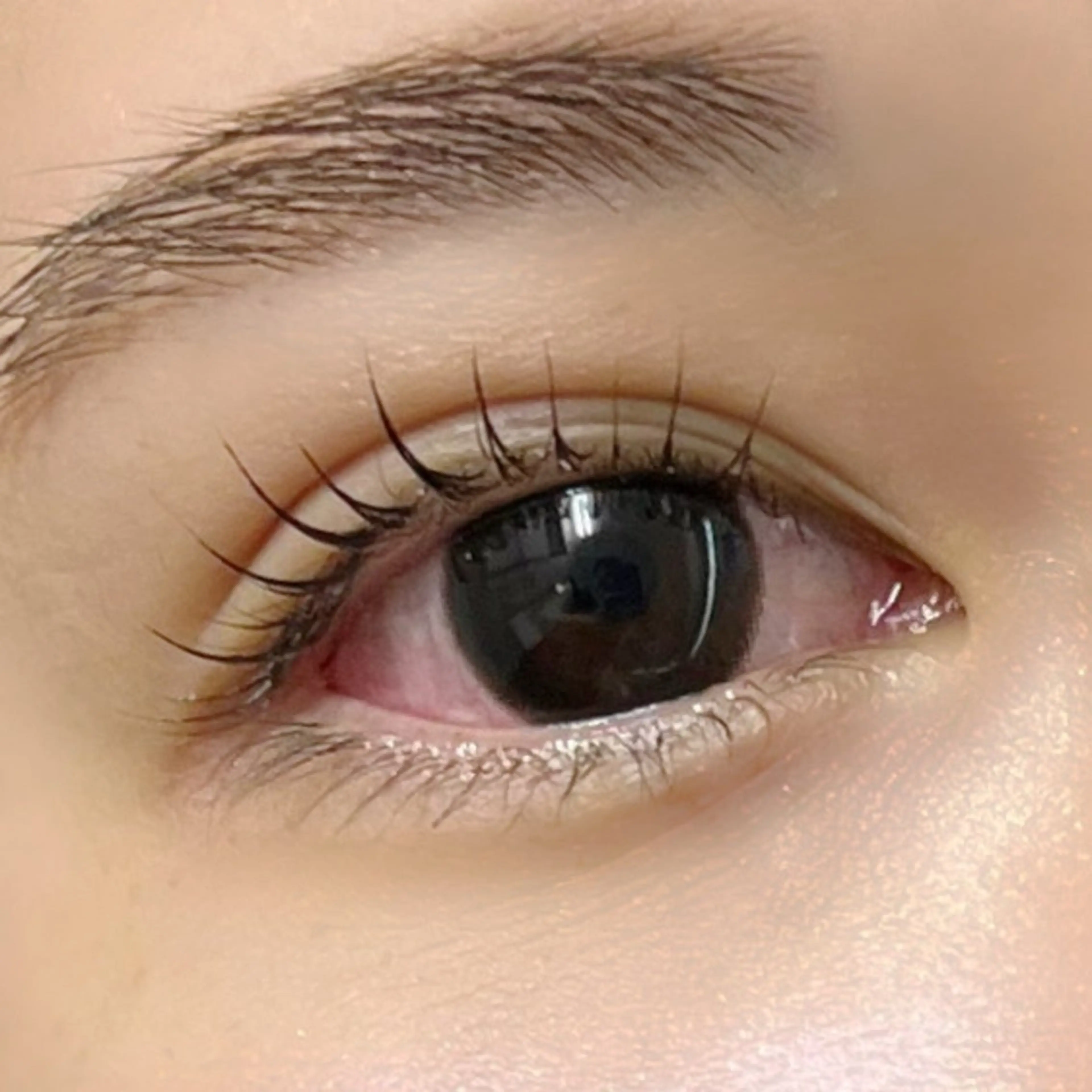 マツエク・マツパ ケラチンラッシュリフト Trinity eyelashのマツエク・マツパデザイン