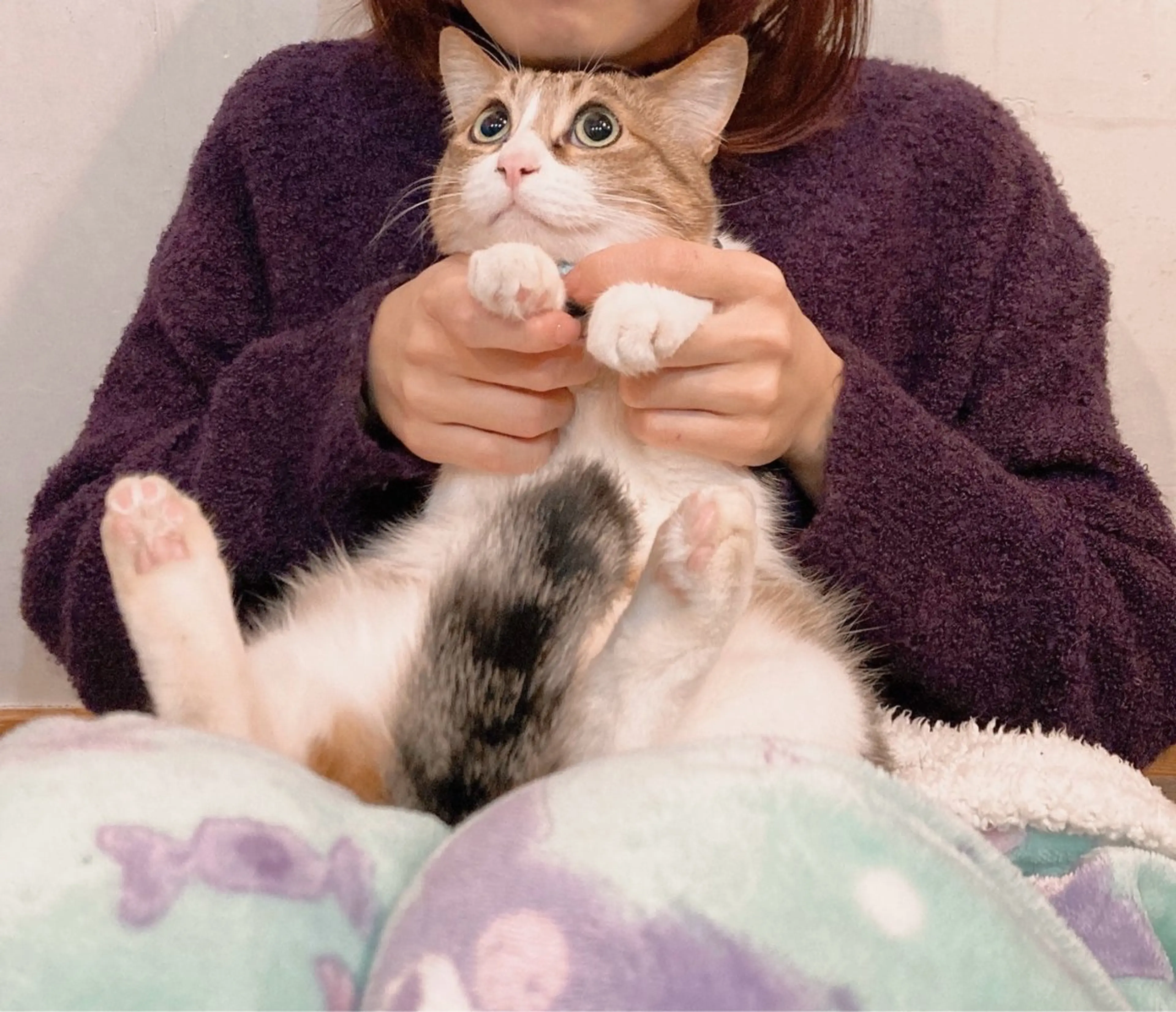 ネイル Spiky とうげ ふうかのネイルデザイン