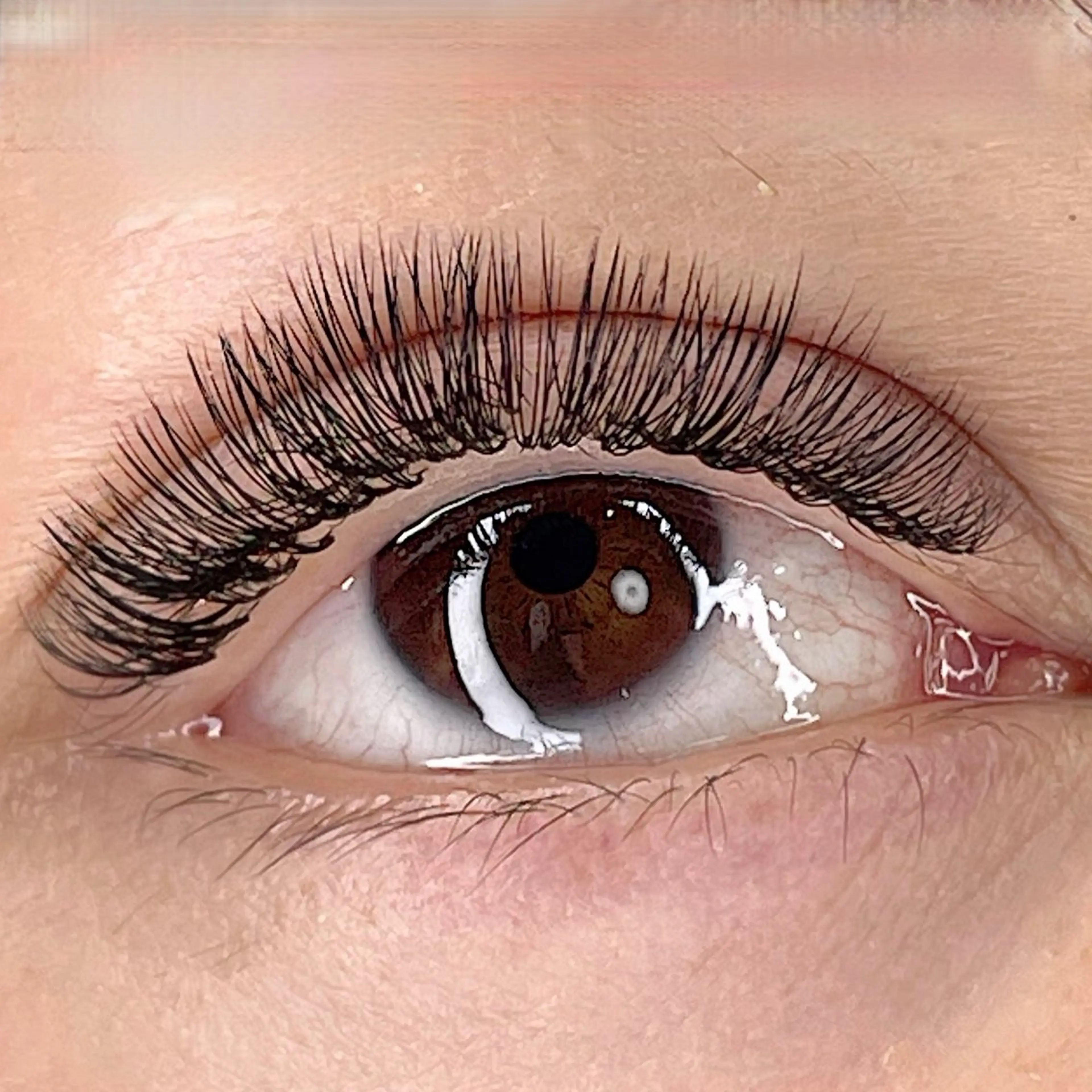 【3week】ボリュームラッシュリペア(付け足し)上限160本/オフなし/LED+¥1500の写真