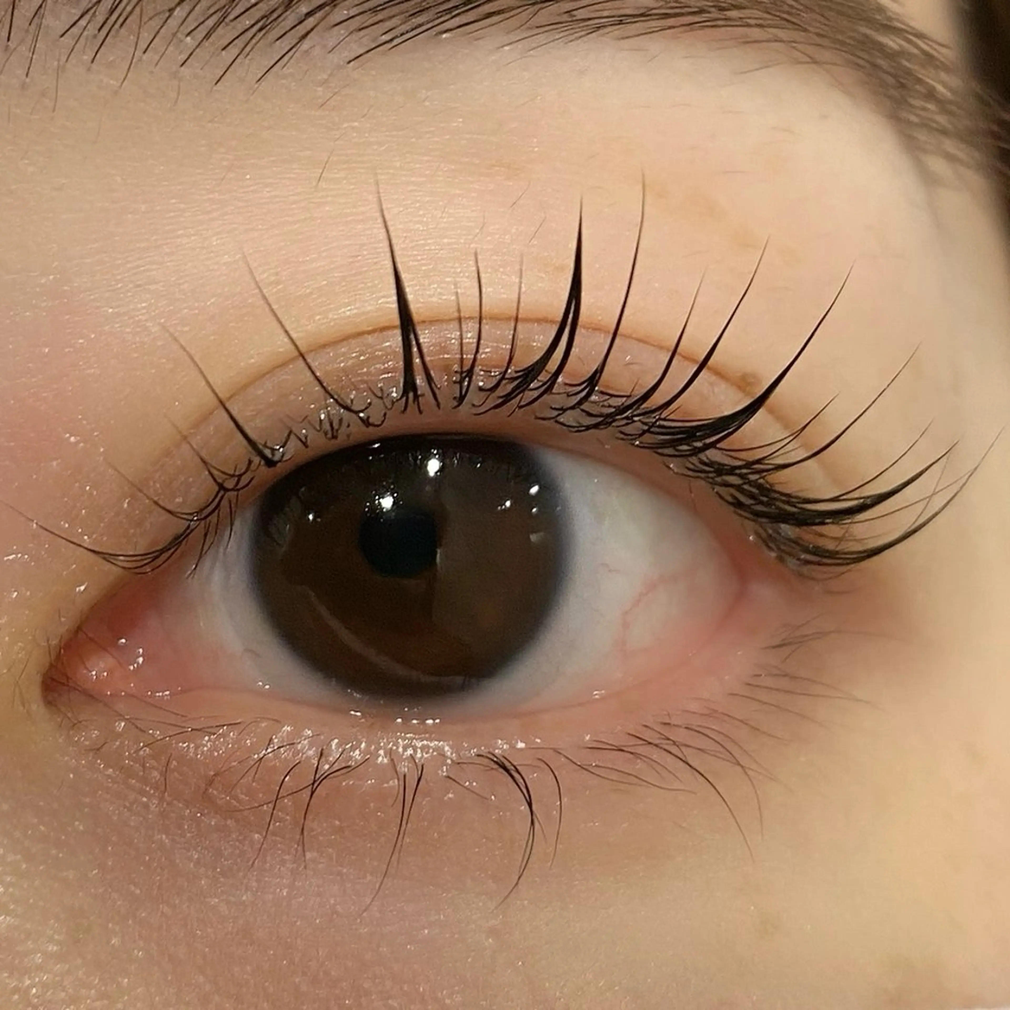 マツエク・マツパ carrefourNoa松戸所属・森 夏希のマツエク・マツパデザイン