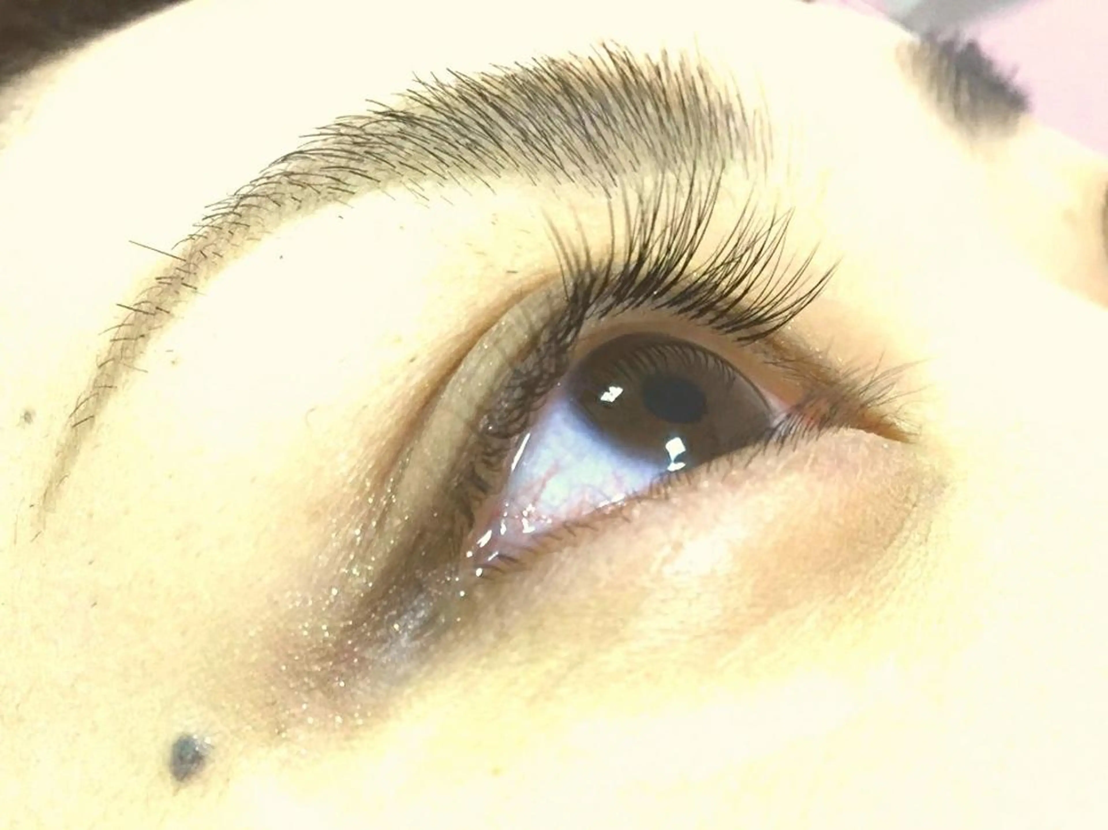 マツエク・マツパ Genesis Plus大津京店のマツエク・マツパデザイン