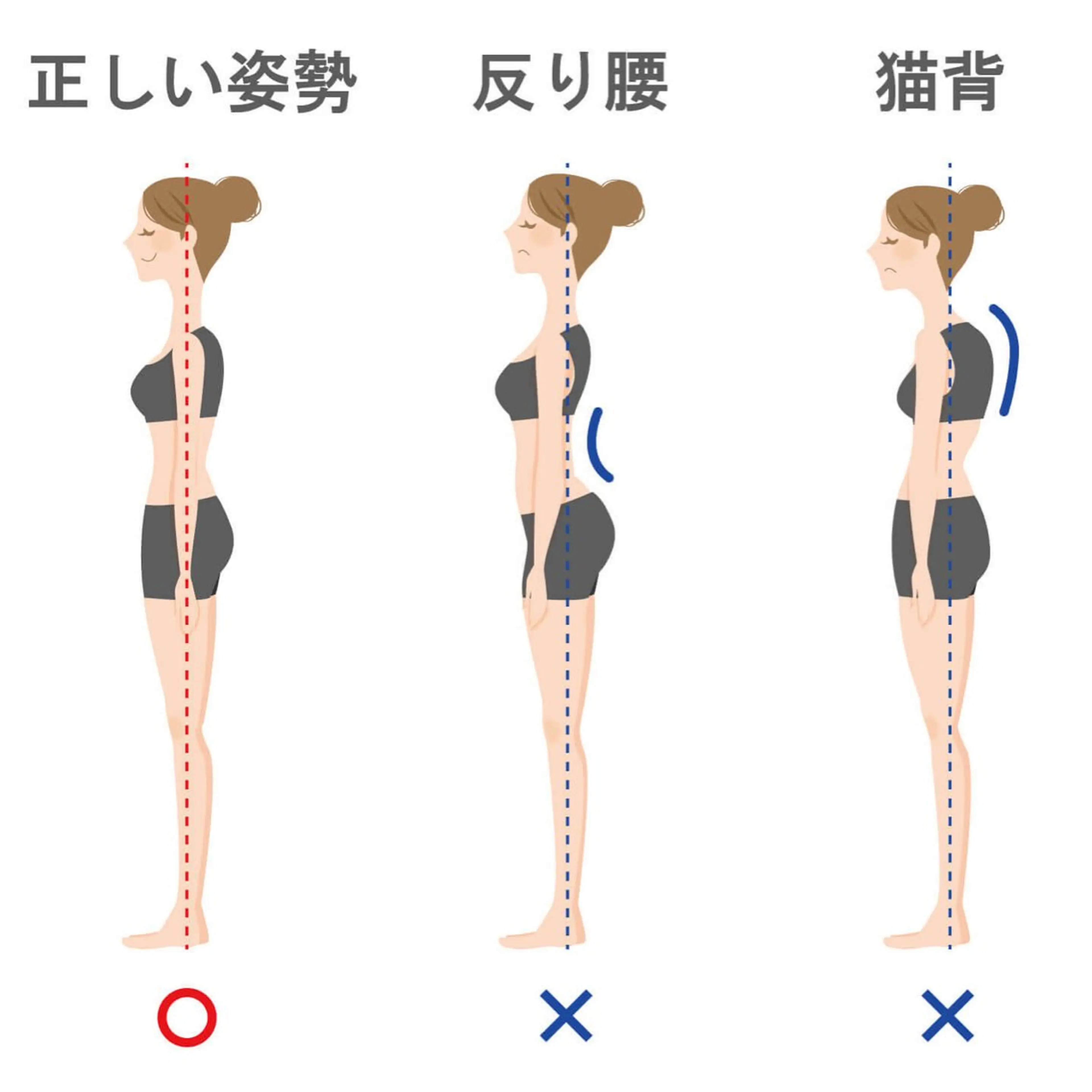 ✨【姿勢 or 骨盤矯正 】1ヶ月受け放題✨の写真