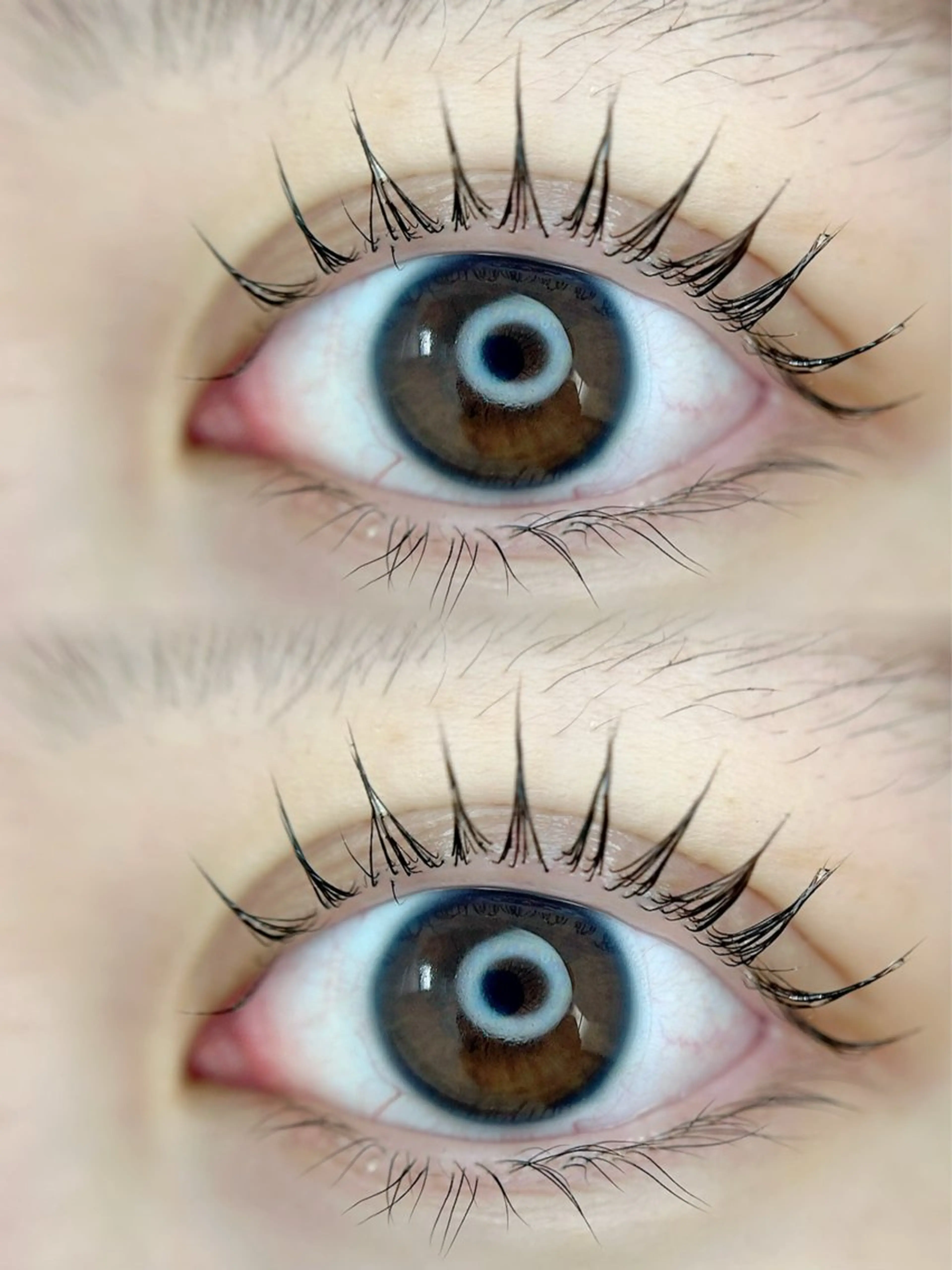 「根元から立ち上げ」まつげパーマ✨️の写真