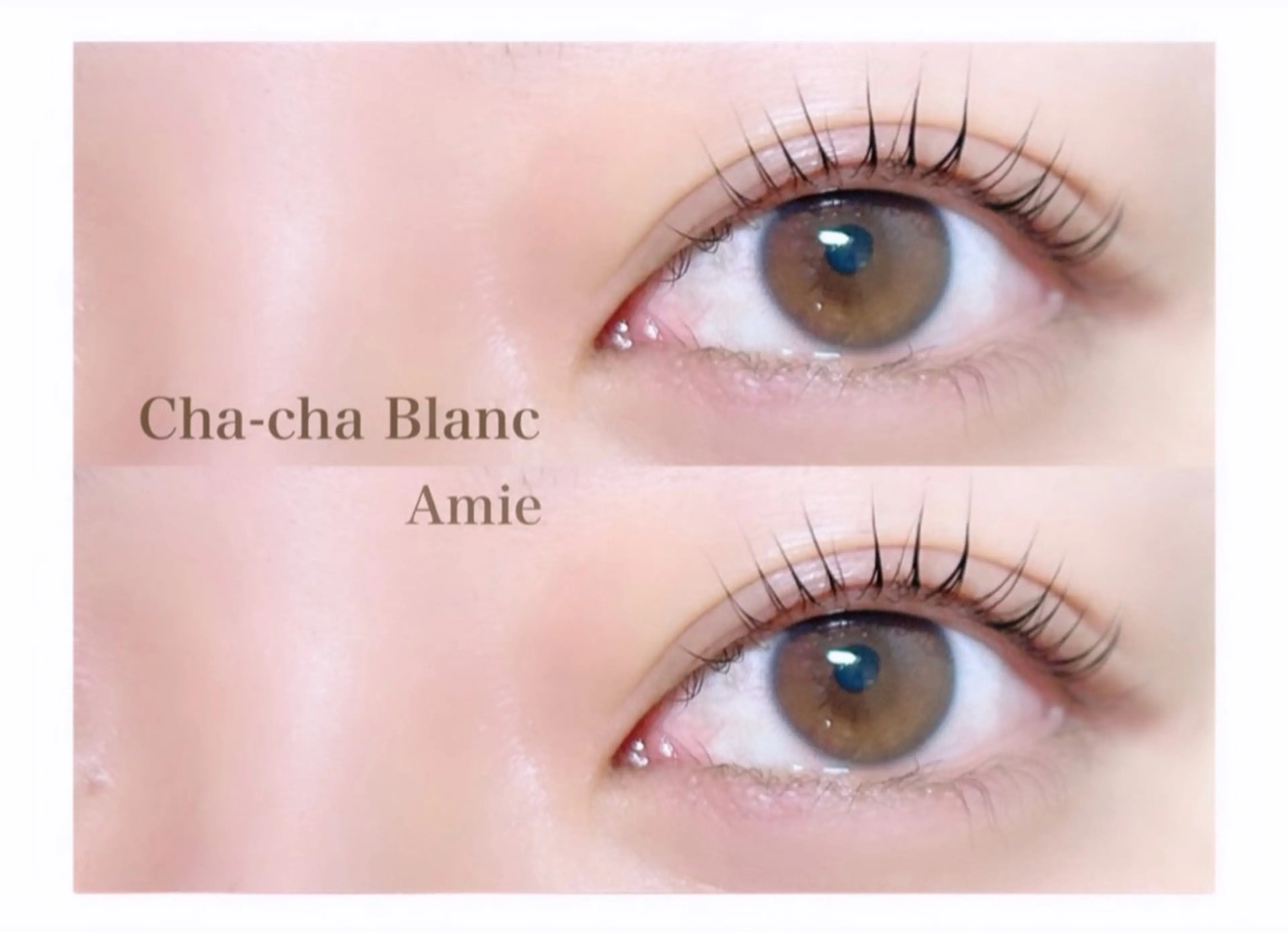 マツエク・マツパ マツパ chacha bla nc Amie 沖田のマツエク・マツパデザイン