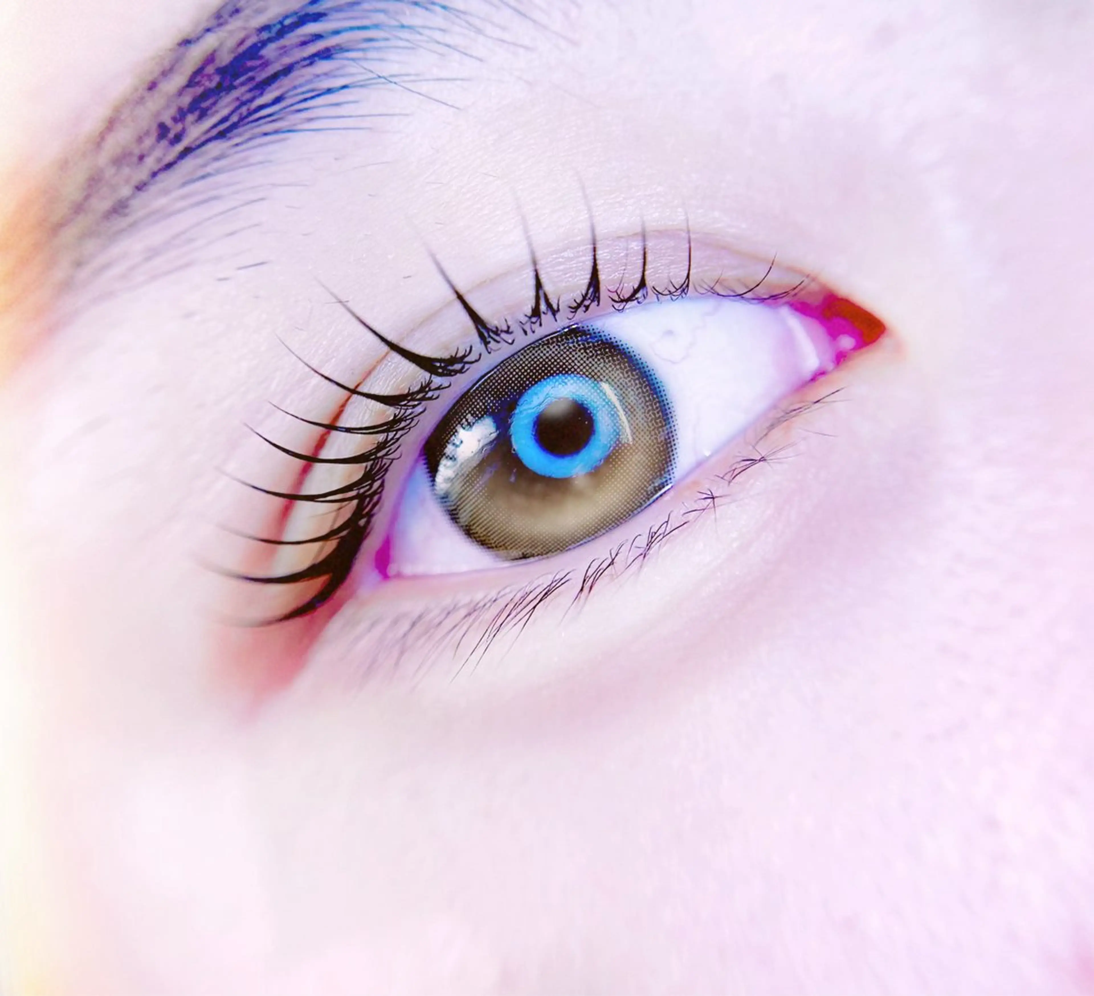 マツエク・マツパ eyelist. mizuki🐈‍⬛の眉毛・アイブロウイメージ