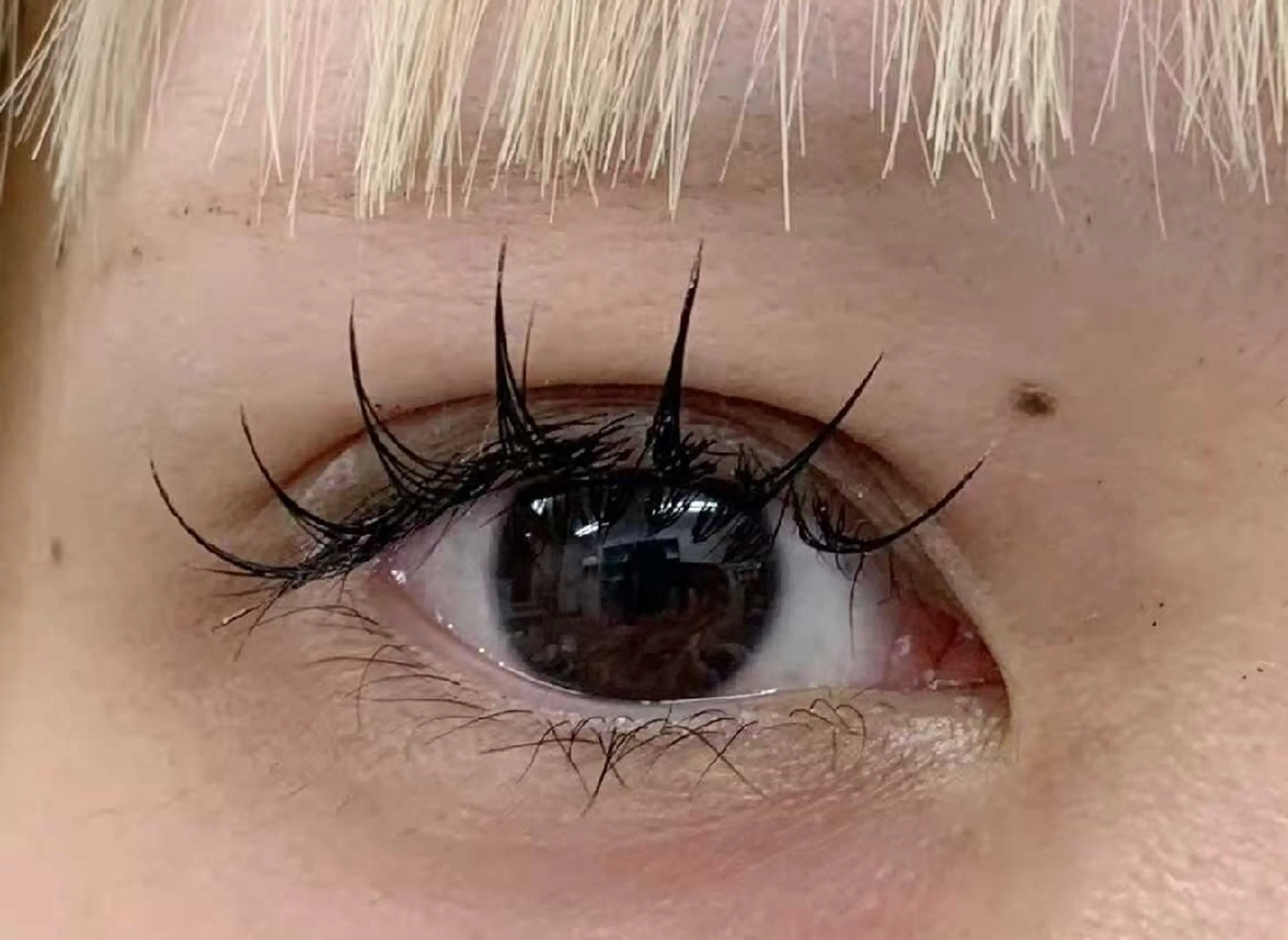 マツエク・マツパ LEDマツエクマツパ 小林のマツエク・マツパデザイン