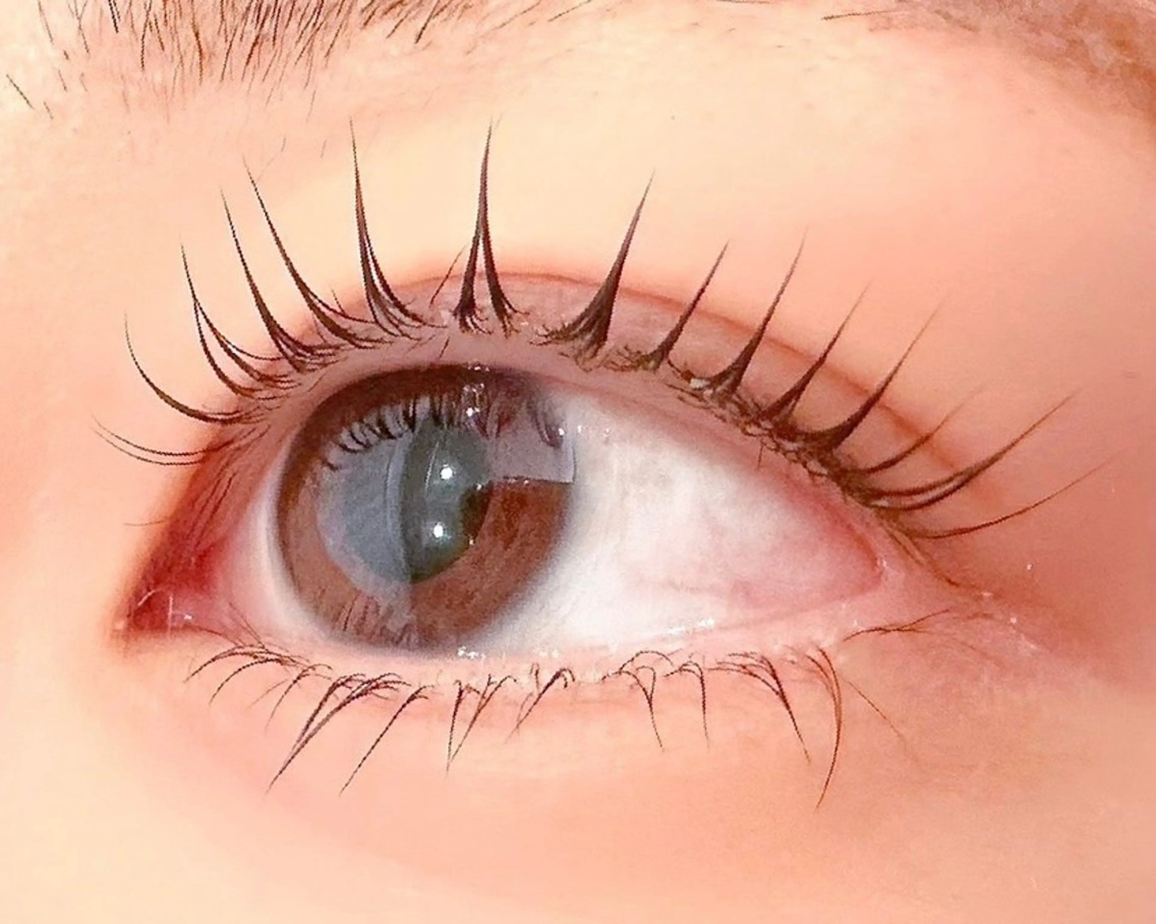 マツエク・マツパ 紬麦所属・藤井 しほの眉毛・アイブロウイメージ