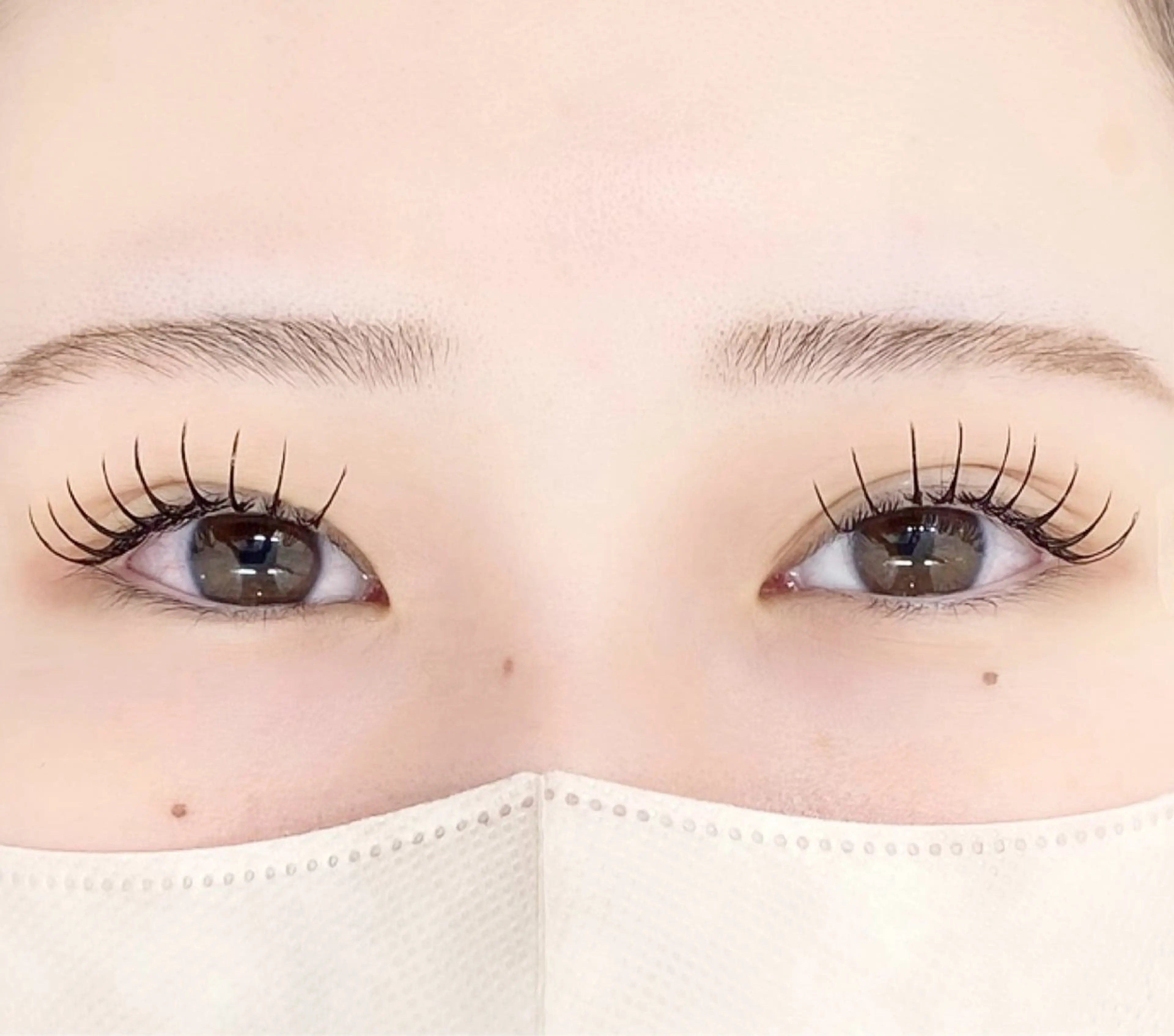 🔶セーブル100本の写真