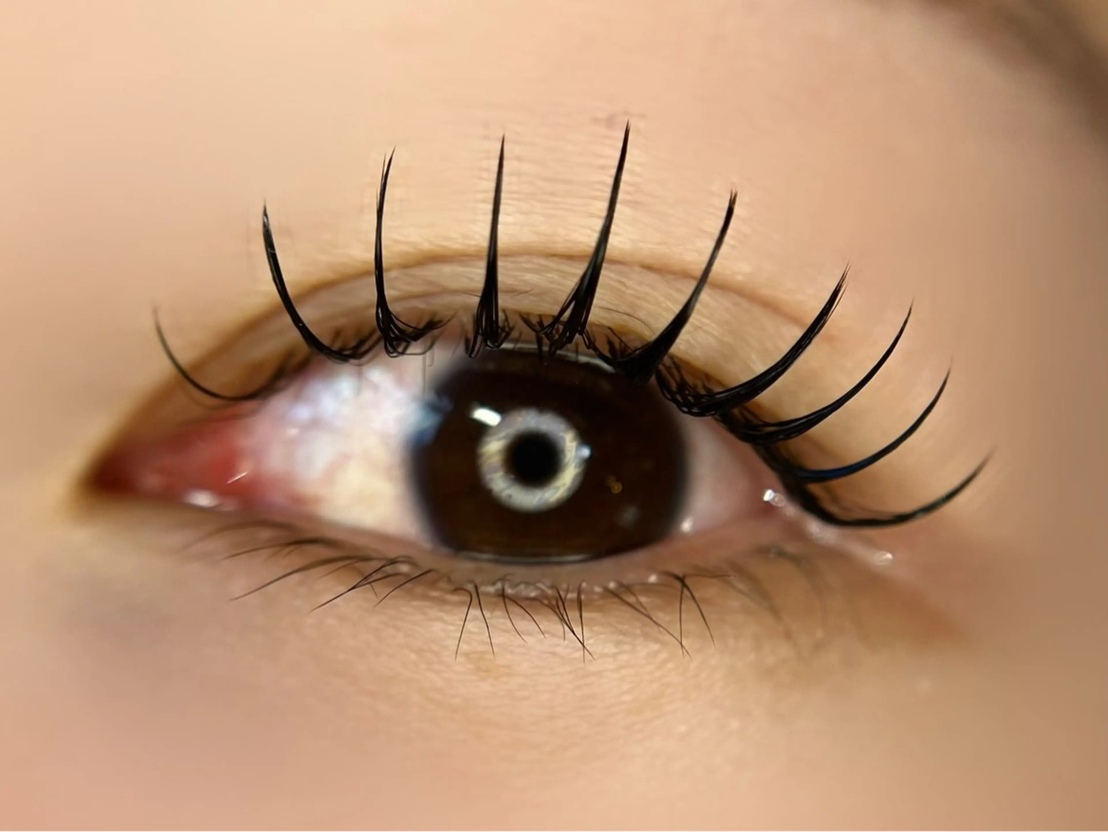 マツエク・マツパ マツエク Lau【ラウ】所属・Lau【ラウ】 ⁂NaNaのマツエク・マツパデザイン