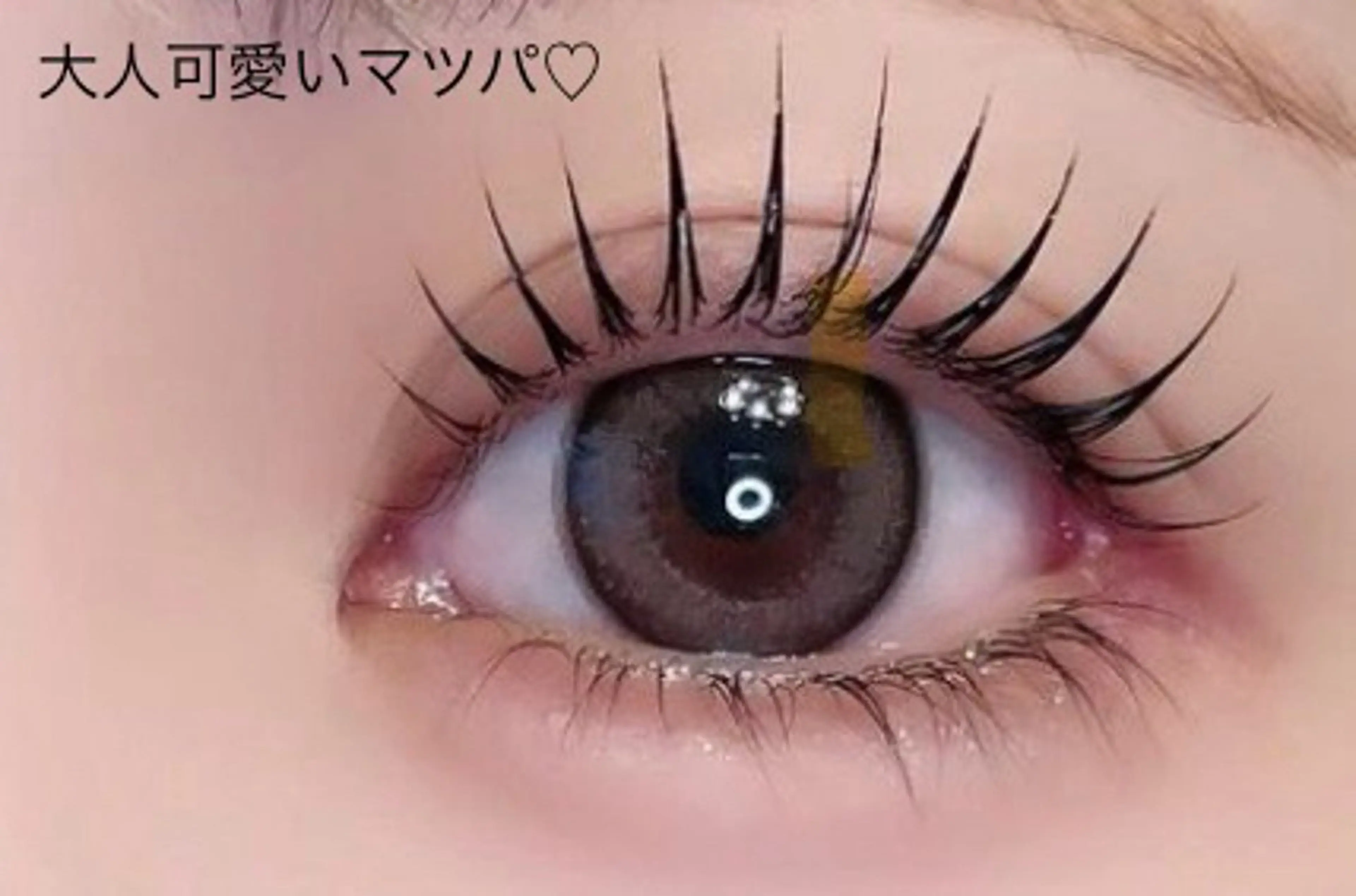 マツエク・マツパ まつげパーマ 目元・まつパ・美肌フ ェイシャル谷町四丁目のマツエク・マツパデザイン