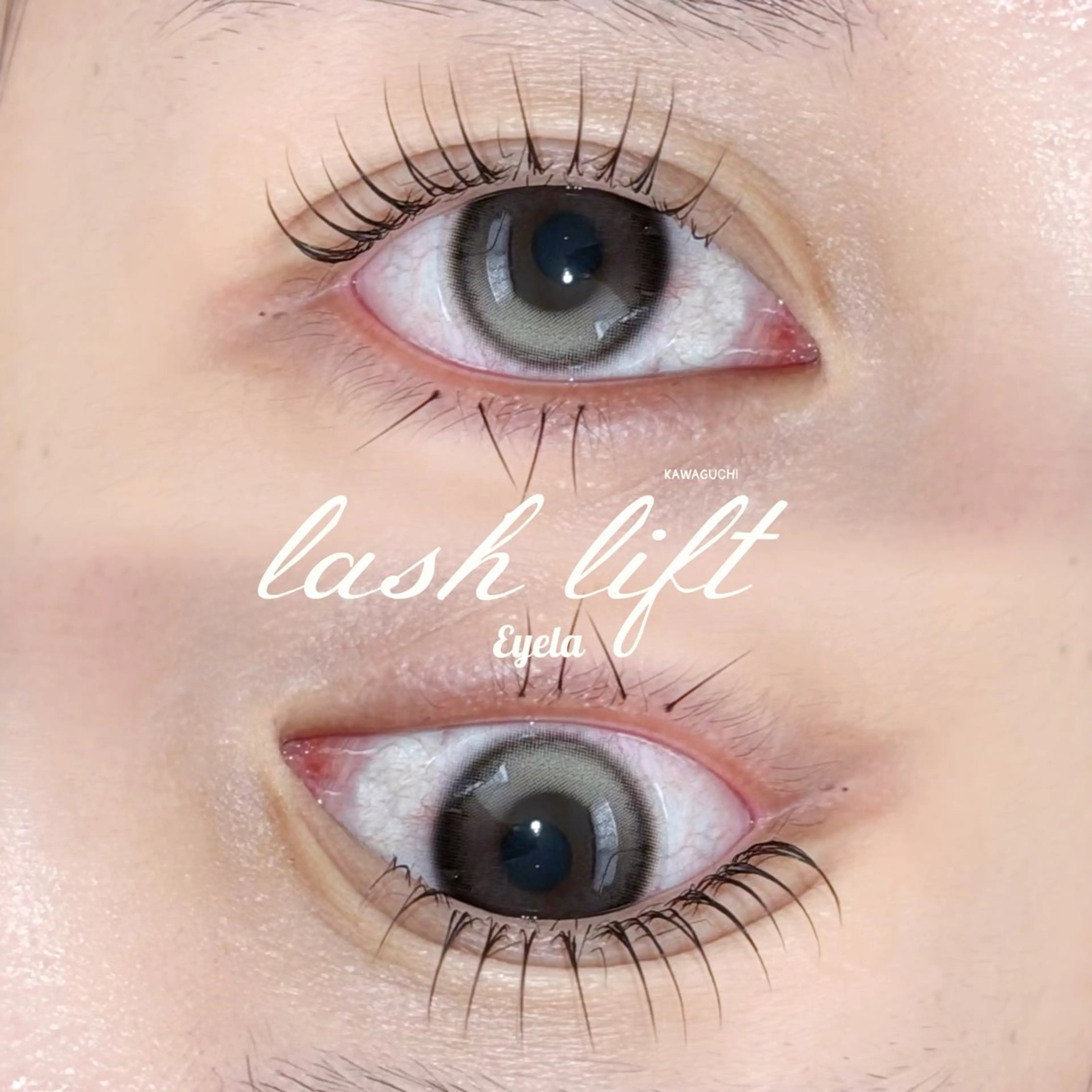 マツエク・マツパ まつげパーマ EYELA 🎀遠山の眉毛・アイブロウイメージ