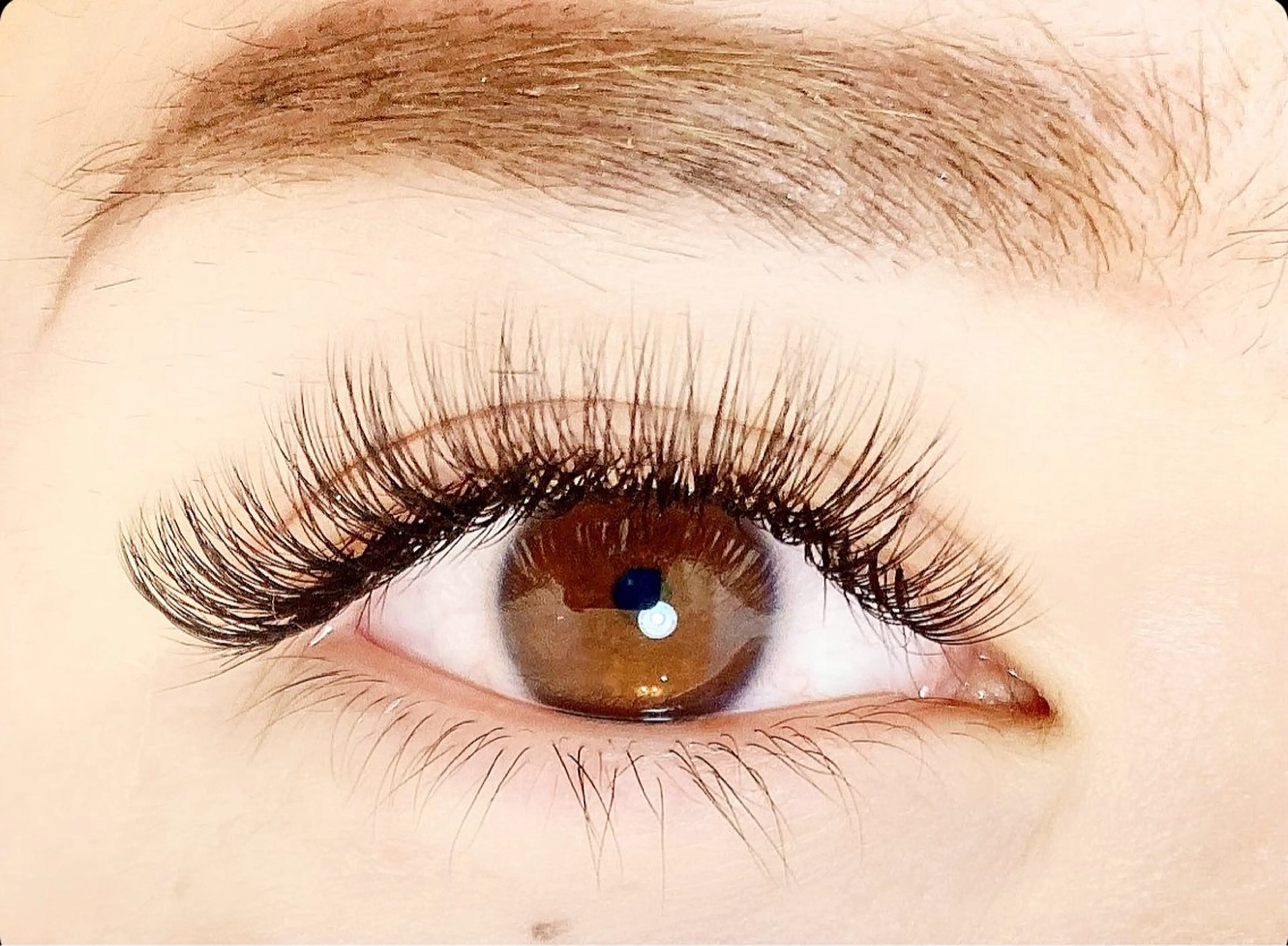 マツエク・マツパ ボリュームラッシュ LEDマツエク専門店 橋田さくらのマツエク・マツパデザイン