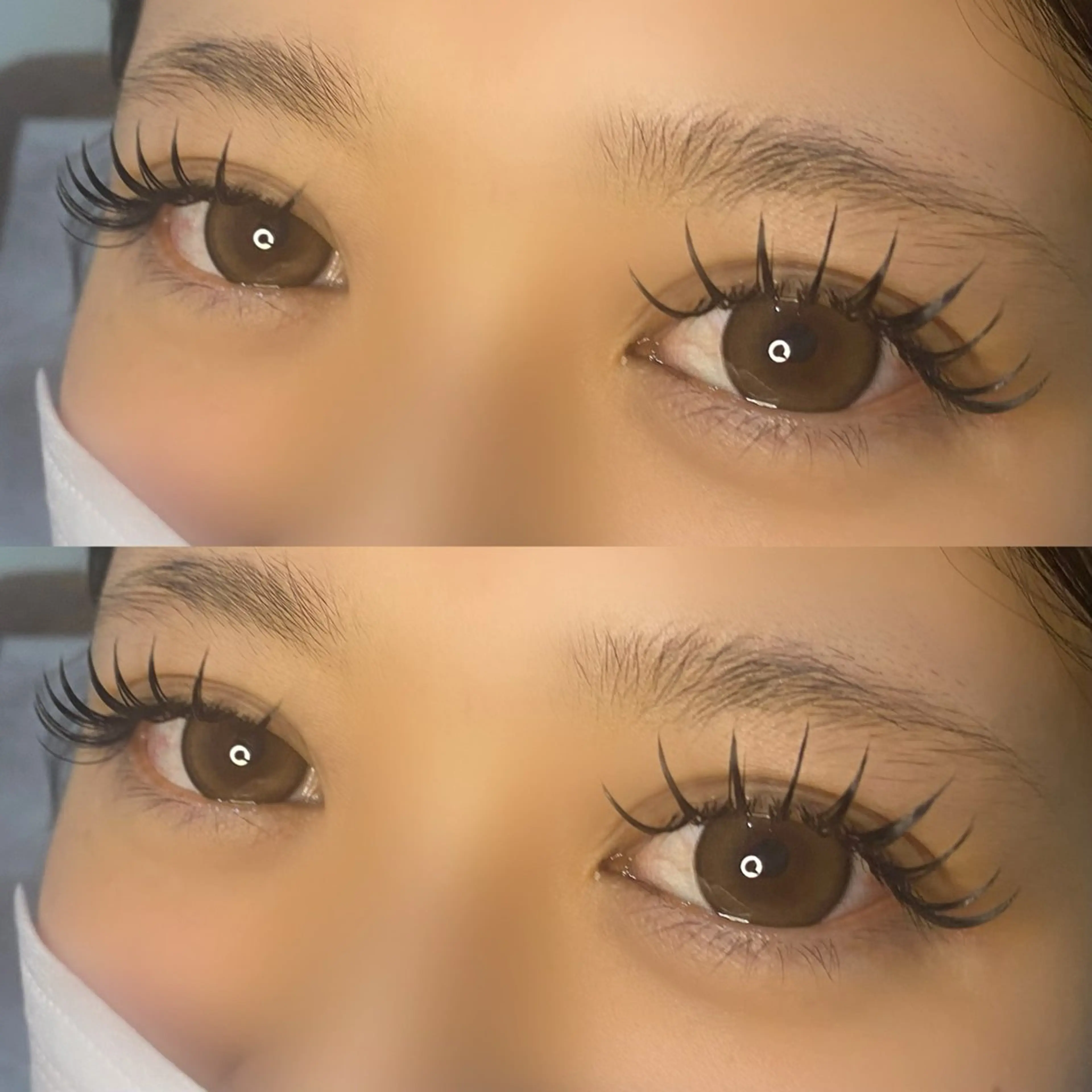 バインドロック120束 7300円の写真