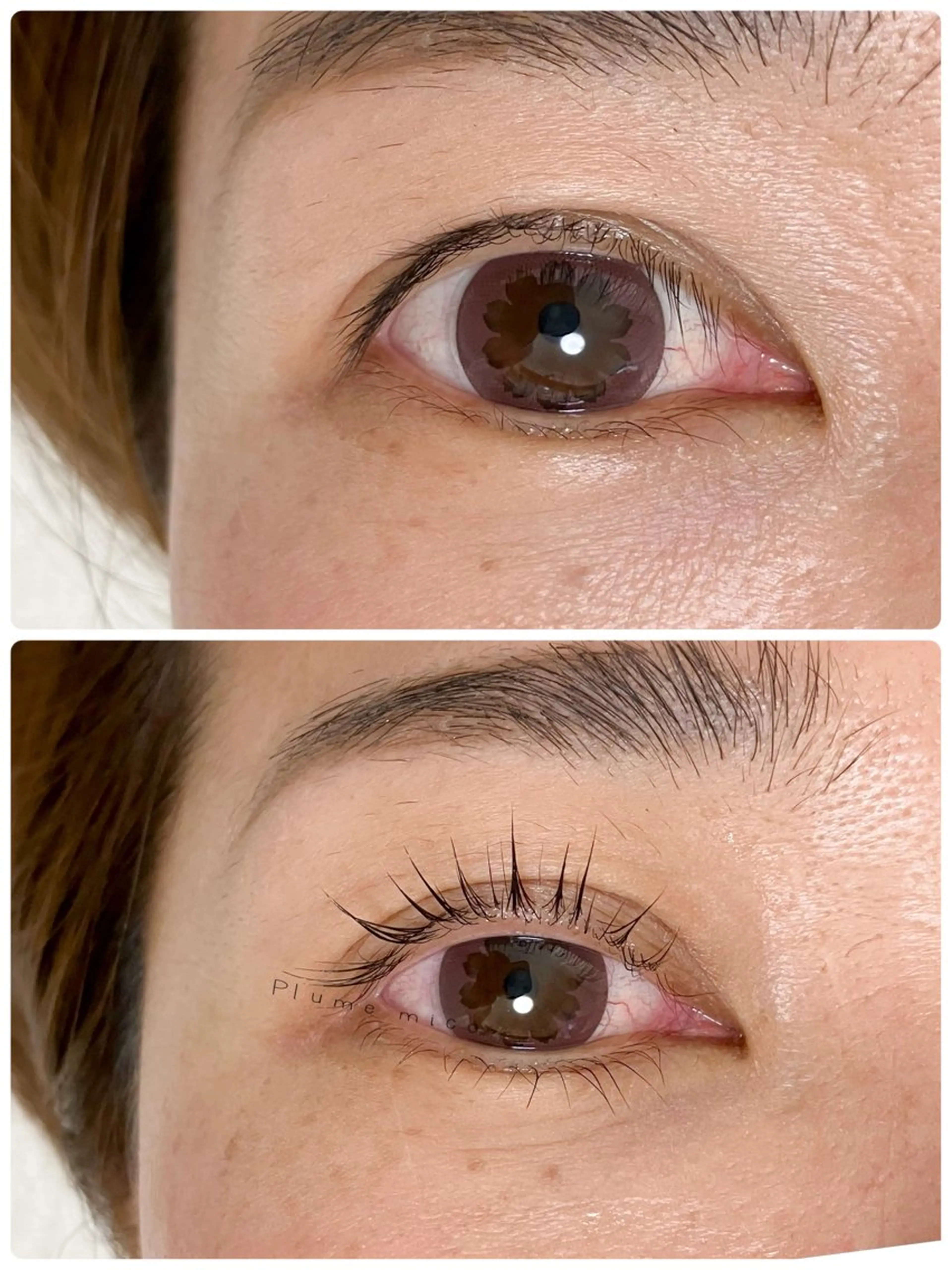 マツエク・マツパ マツパ Plume micoのマツエク・マツパデザイン