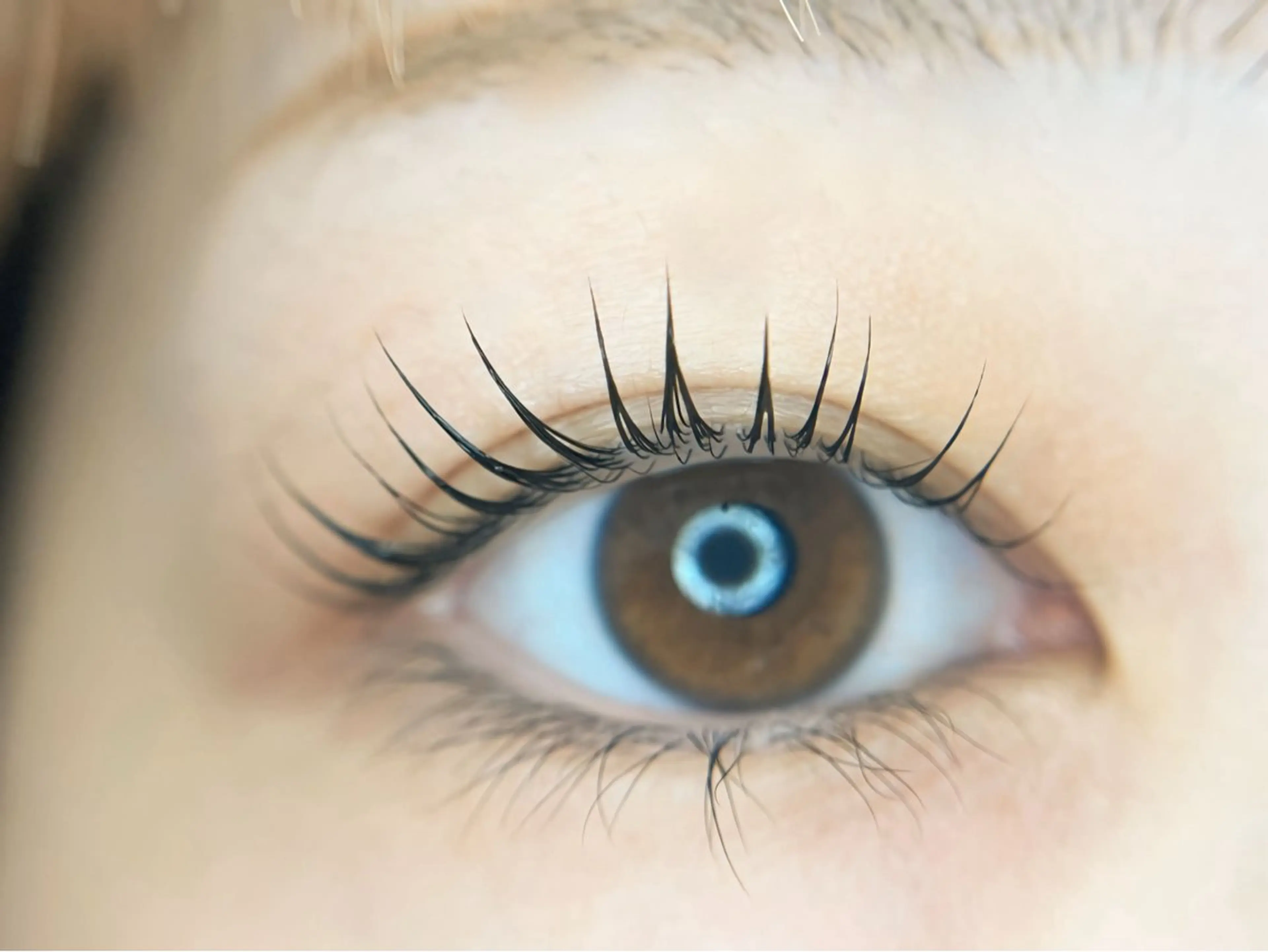 マツエク・マツパ パリジェンヌラッシュリフト 岩見 桐子のマツエク・マツパデザイン