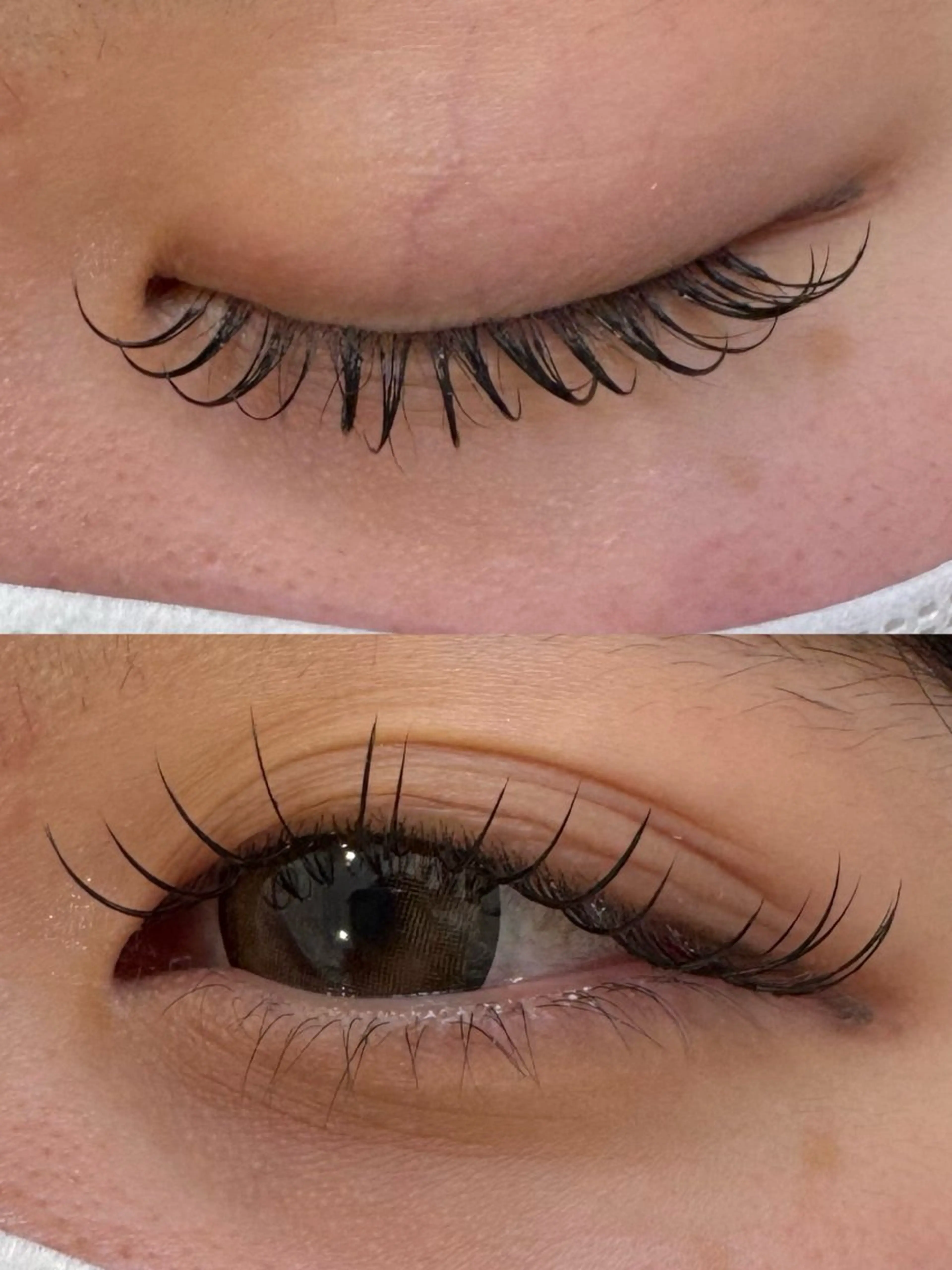 マツエク・マツパ フラットラッシュ Eyelash&Nail ANELA 青森浜田所属・ANELA TSUBAKIのマツエク・マツパデザイン