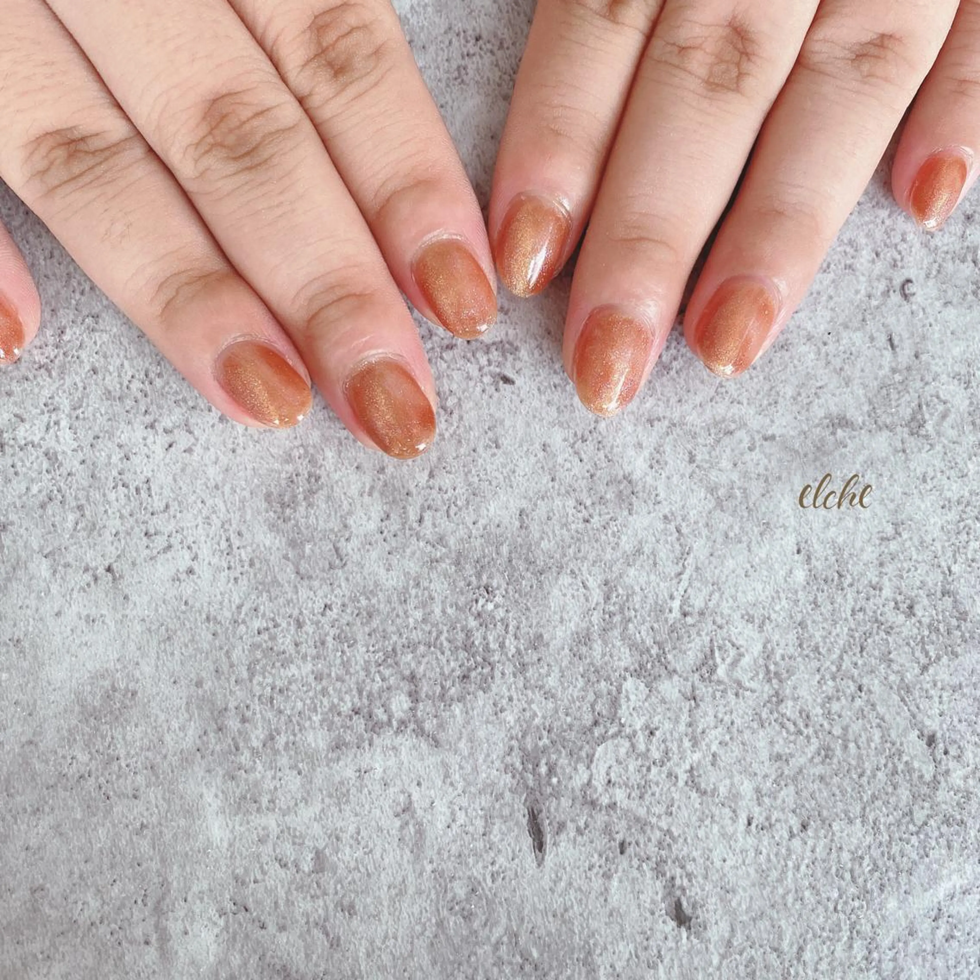 ネイル マグネットネイル Rio 𓍼のネイルデザイン