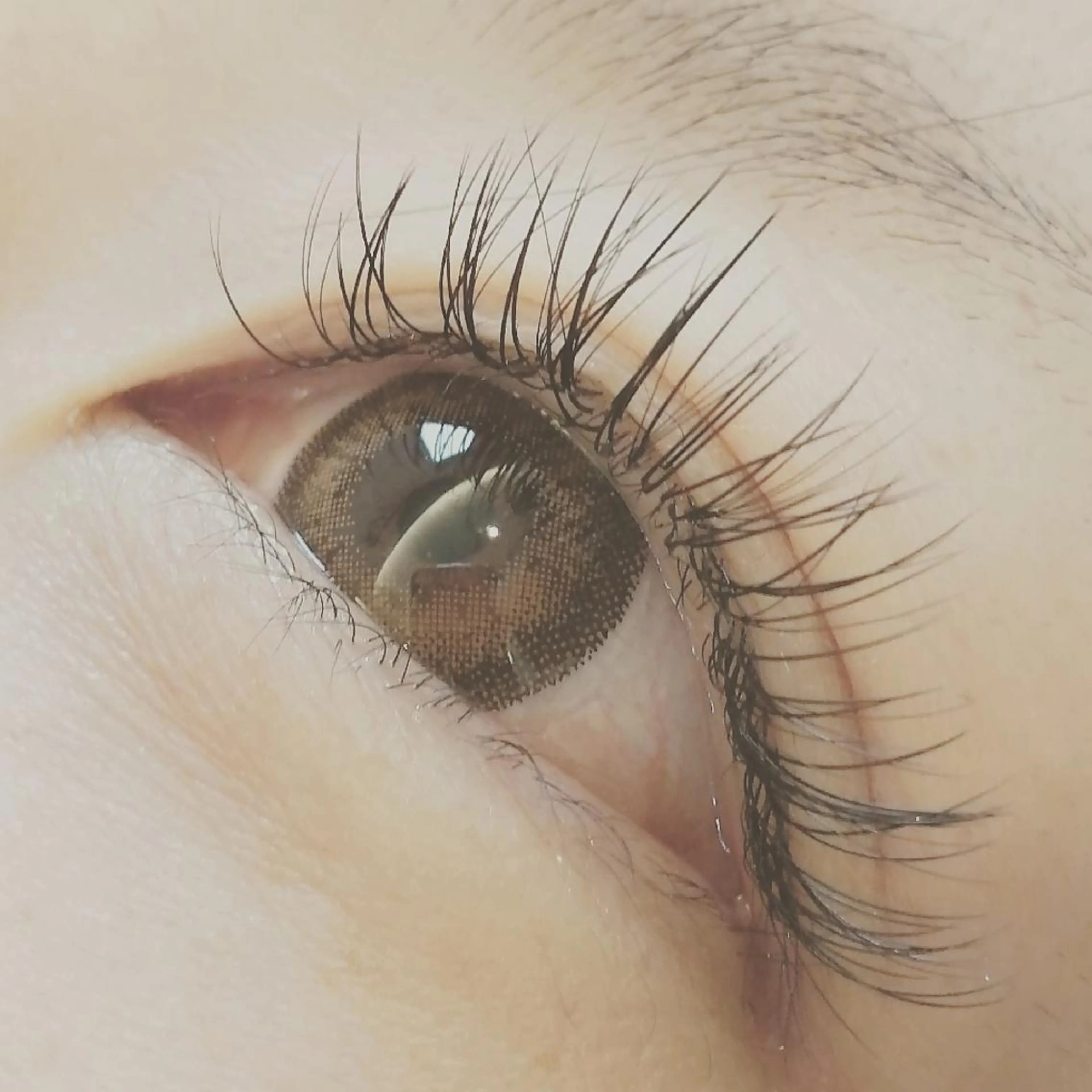 マツエク・マツパ Cカール フラットラッシュ ボリュームラッシュ eyelash Amourのマツエク・マツパデザイン