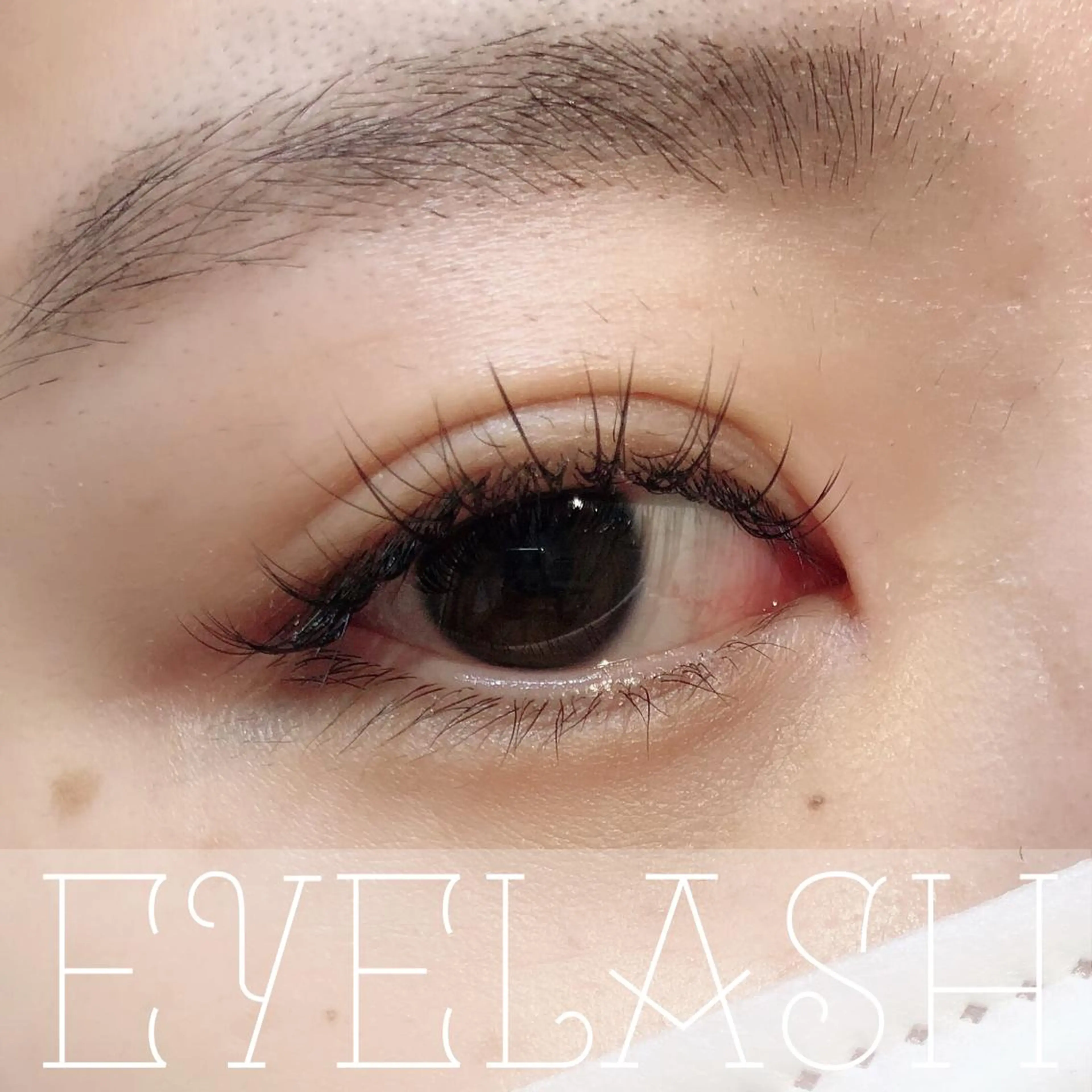 マツエク・マツパ マツエク 𓍯 Miyaki𓍯のマツエク・マツパデザイン