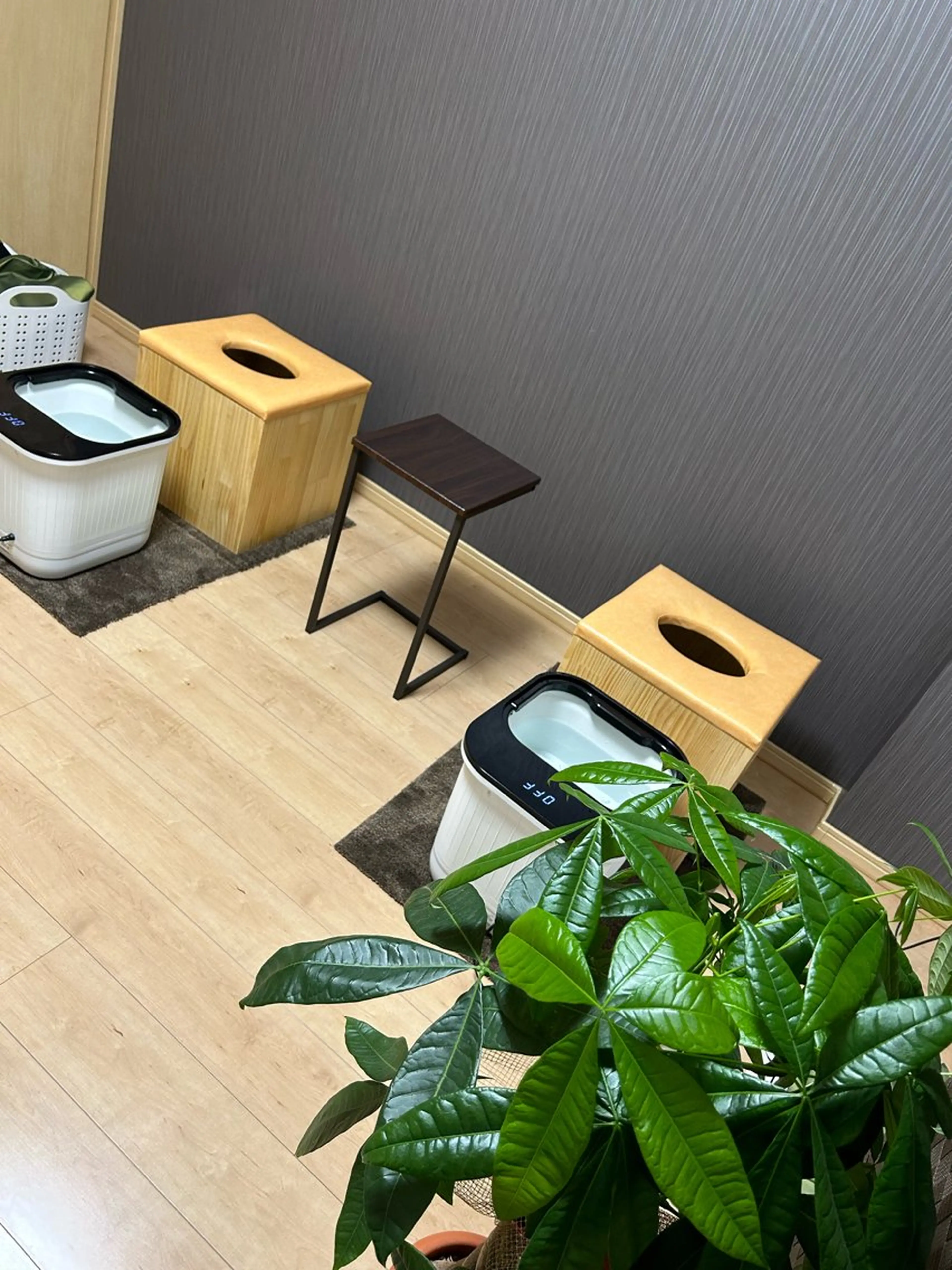 ペア蒸し40分🌿‬の写真