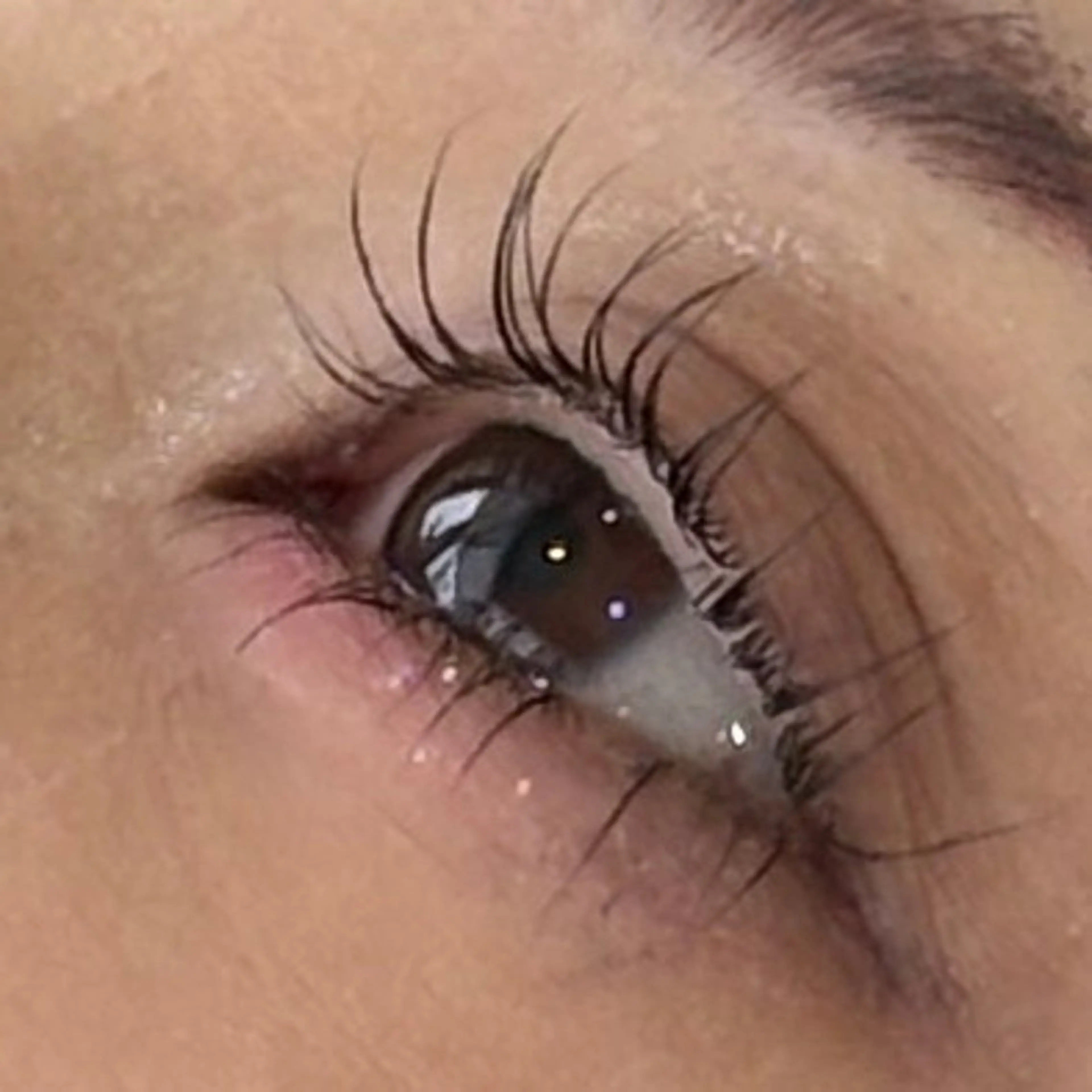 【🌟ミニモ限定🌟】上下ラッシュリフト(まつげパーマ)の写真