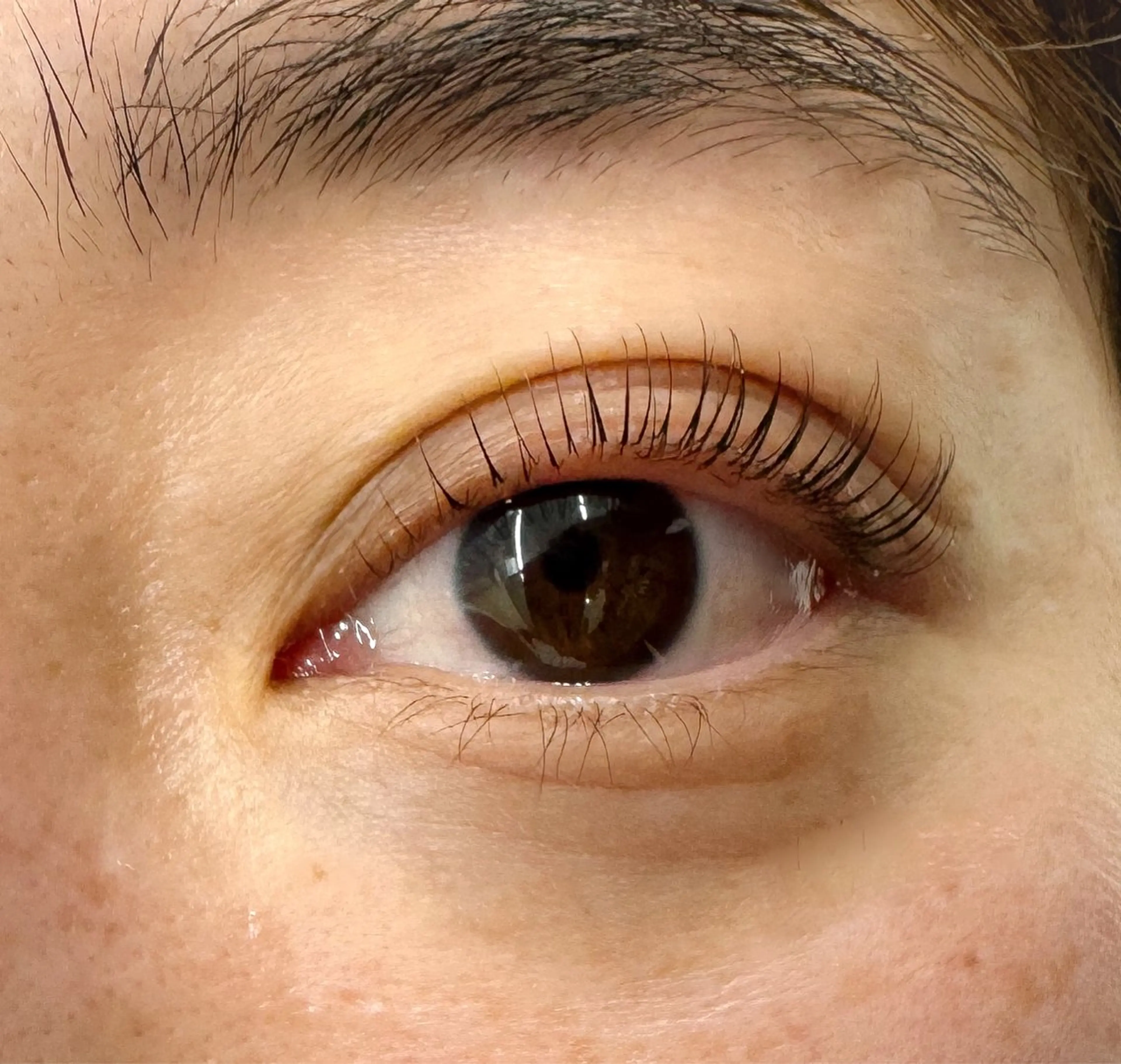 マツエク・マツパ マツパ mila.池袋 マツモトのマツエク・マツパデザイン