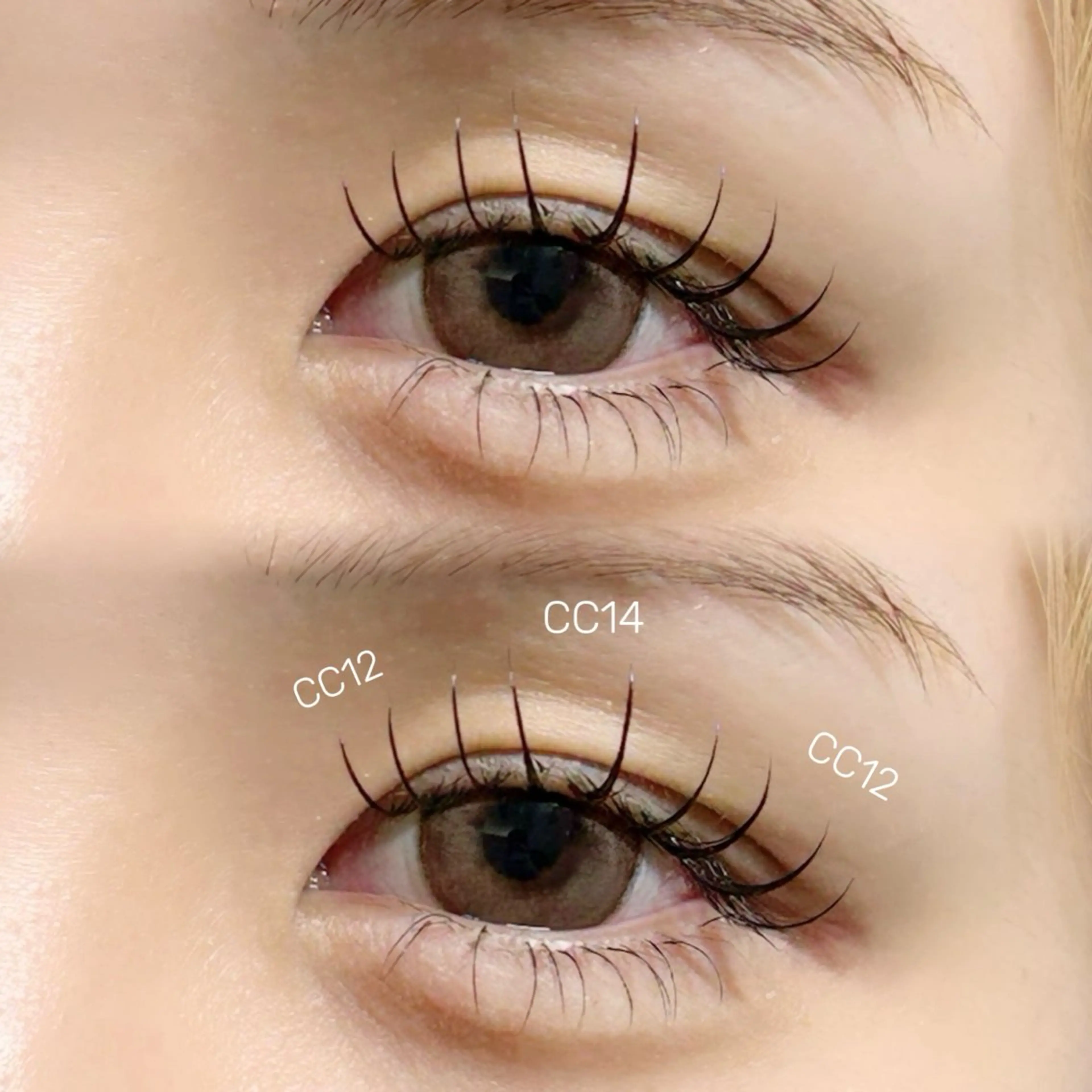 フラットラッシュ80本まで(オフ無し)の写真