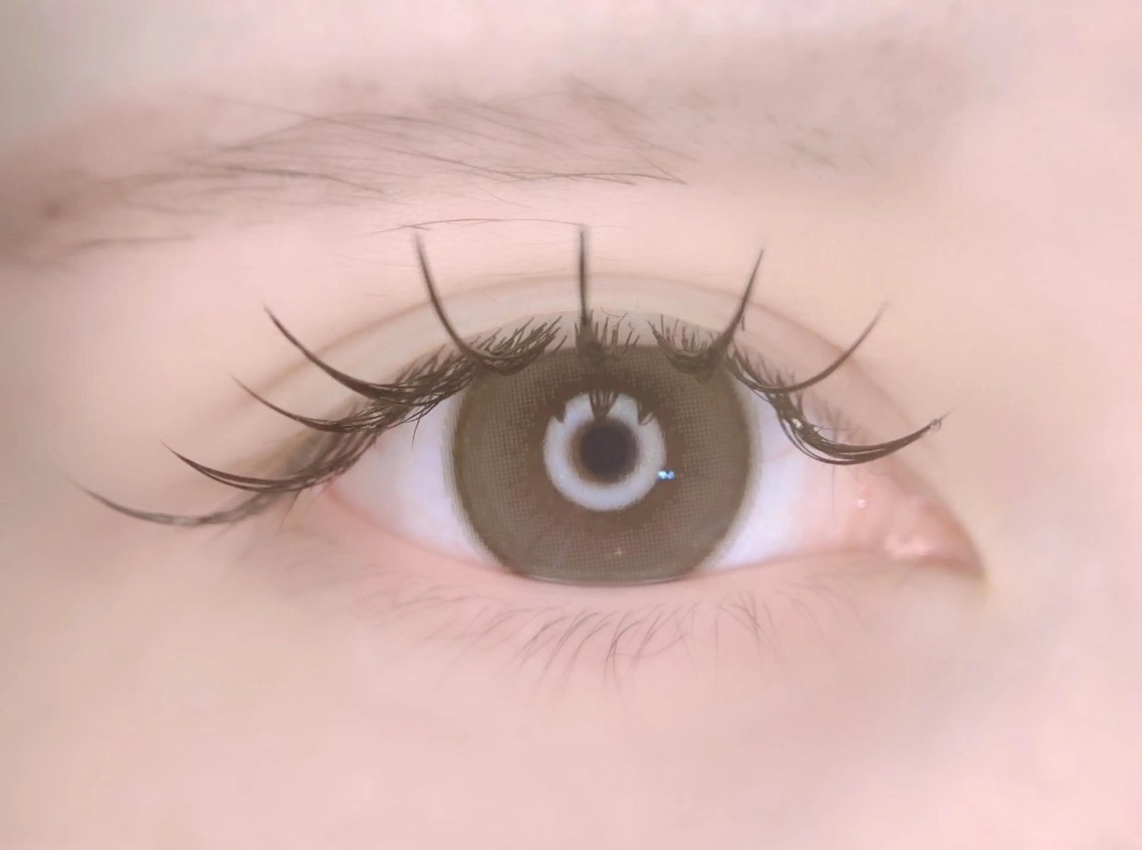 マツエク・マツパ フラットラッシュ ワンホンマツエク マツエク Maaz lash 流山おおたかの森所属・Maaz haruna 🐸のマツエク・マツパデザイン