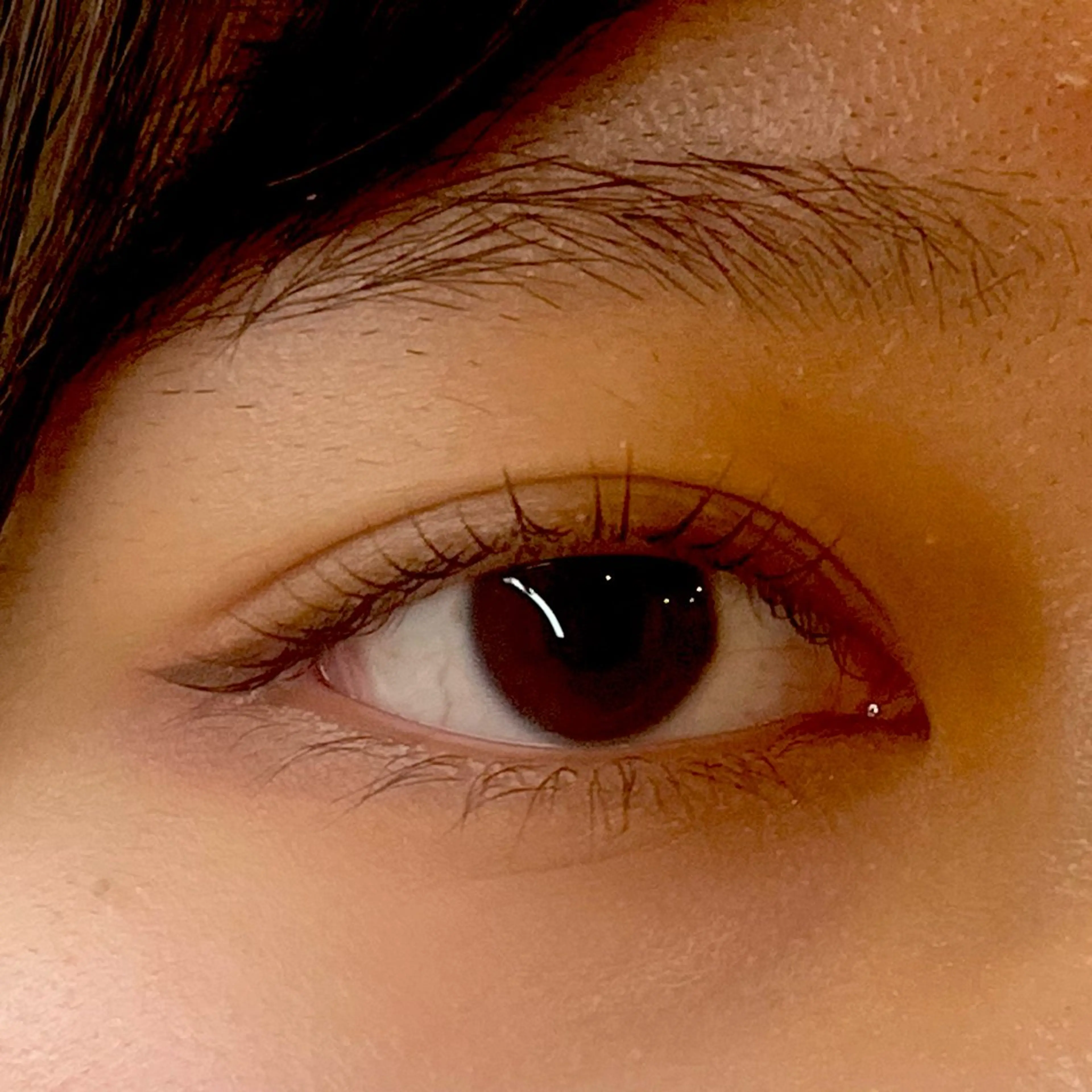 ブラックティントパーマ　マスカラなしで黒いまつ毛に🐦‍⬛の写真