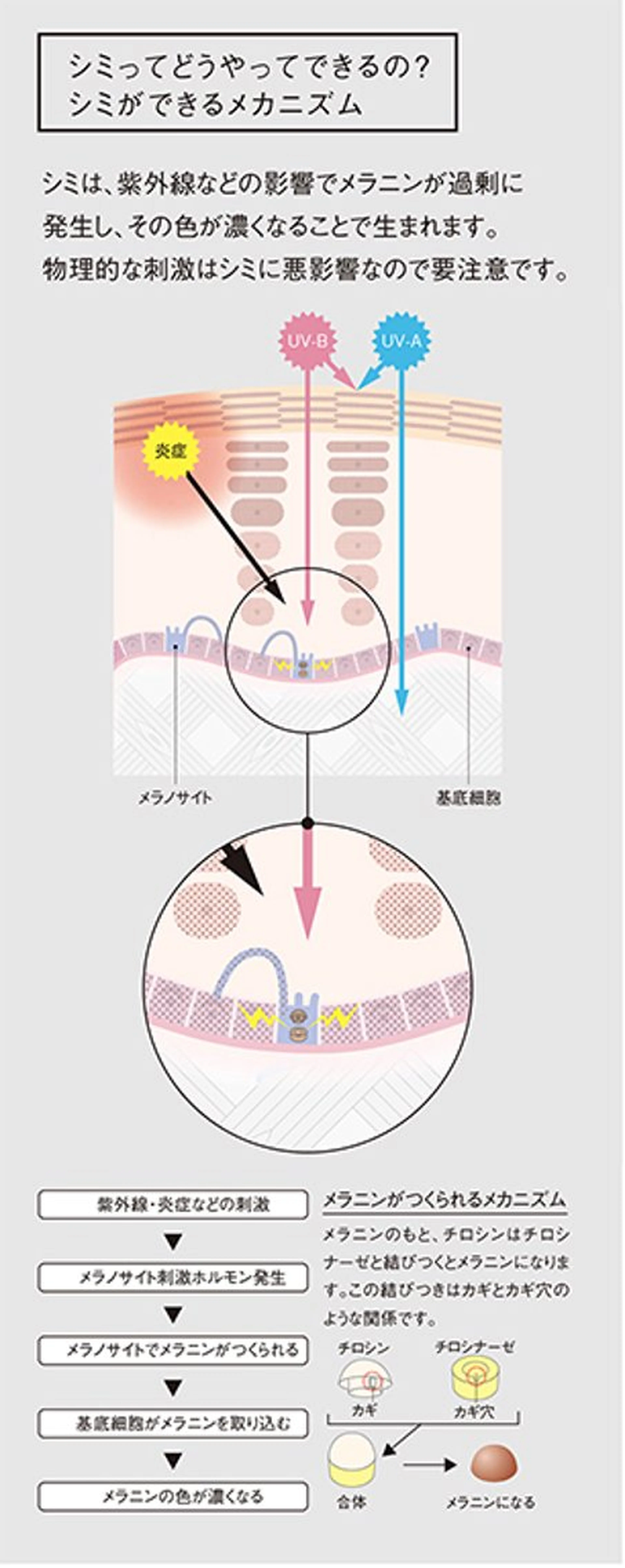 シミくすみのお悩みの方向け。ポーラの肌分析　お肌に合わせたサンプルプレゼント🎁の写真