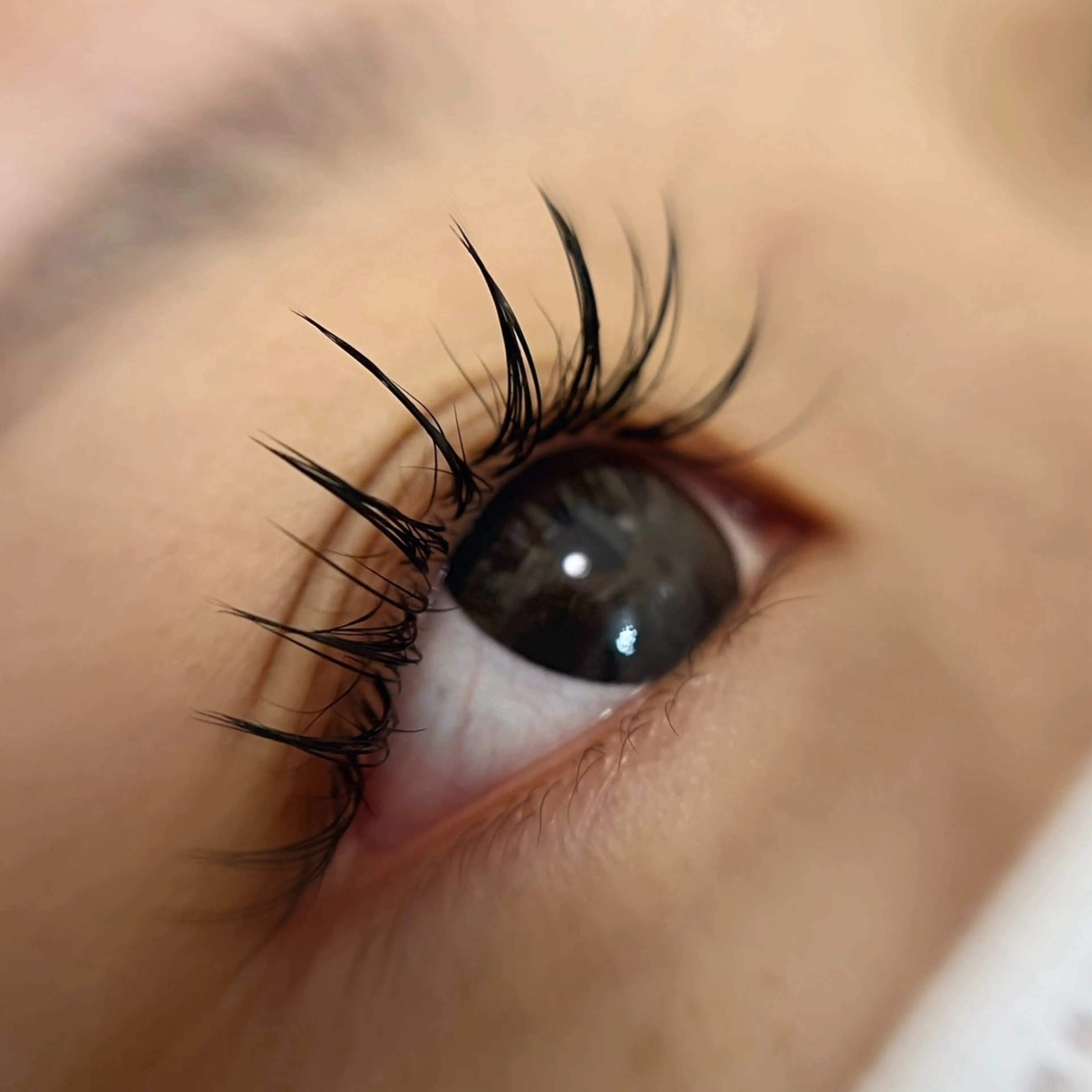 マツエク・マツパ フラットラッシュ マツエク 華恋🪼 《 Blink🪻》のその他イメージ