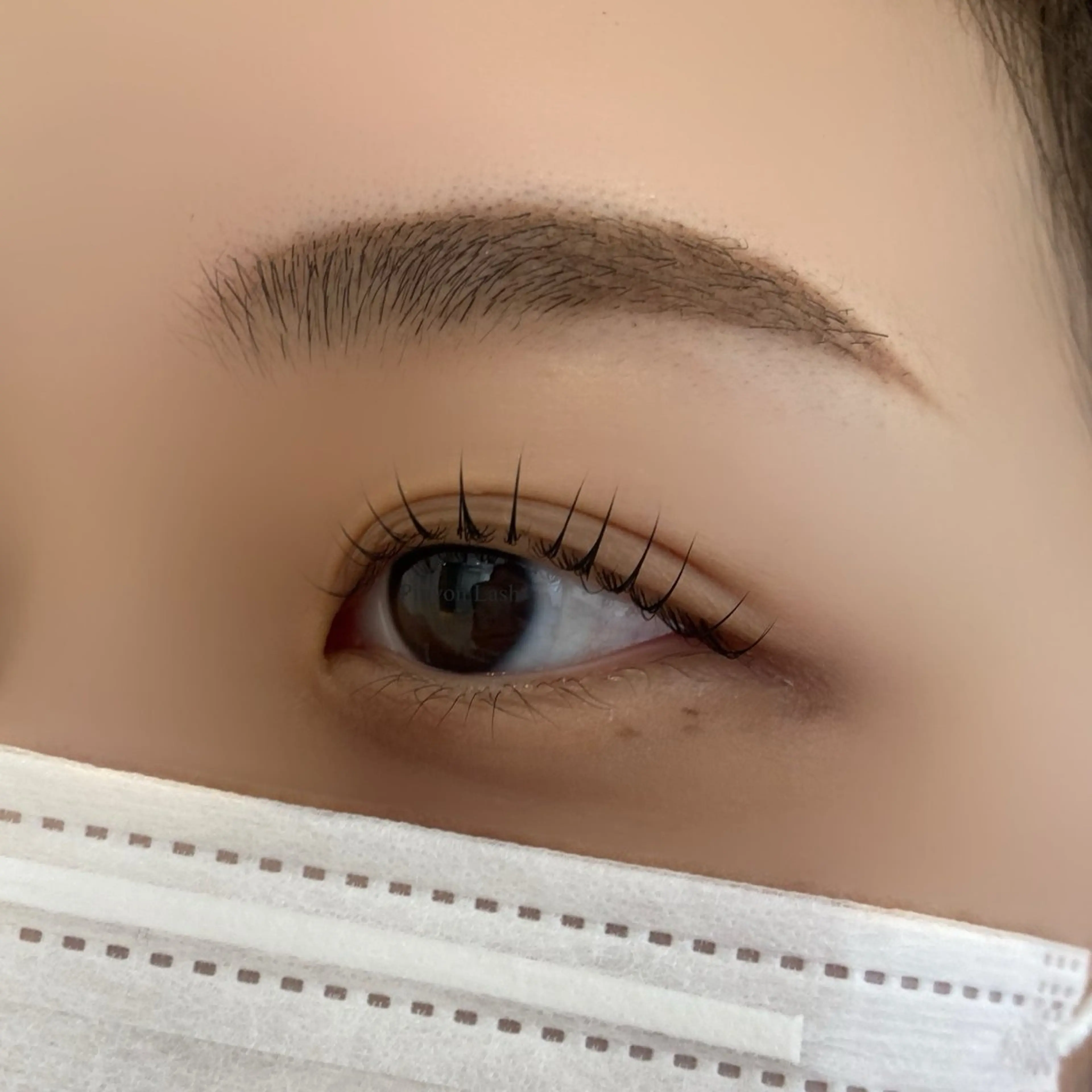 ✨ミニモ限定✨上まつげパーマ¥4000の写真