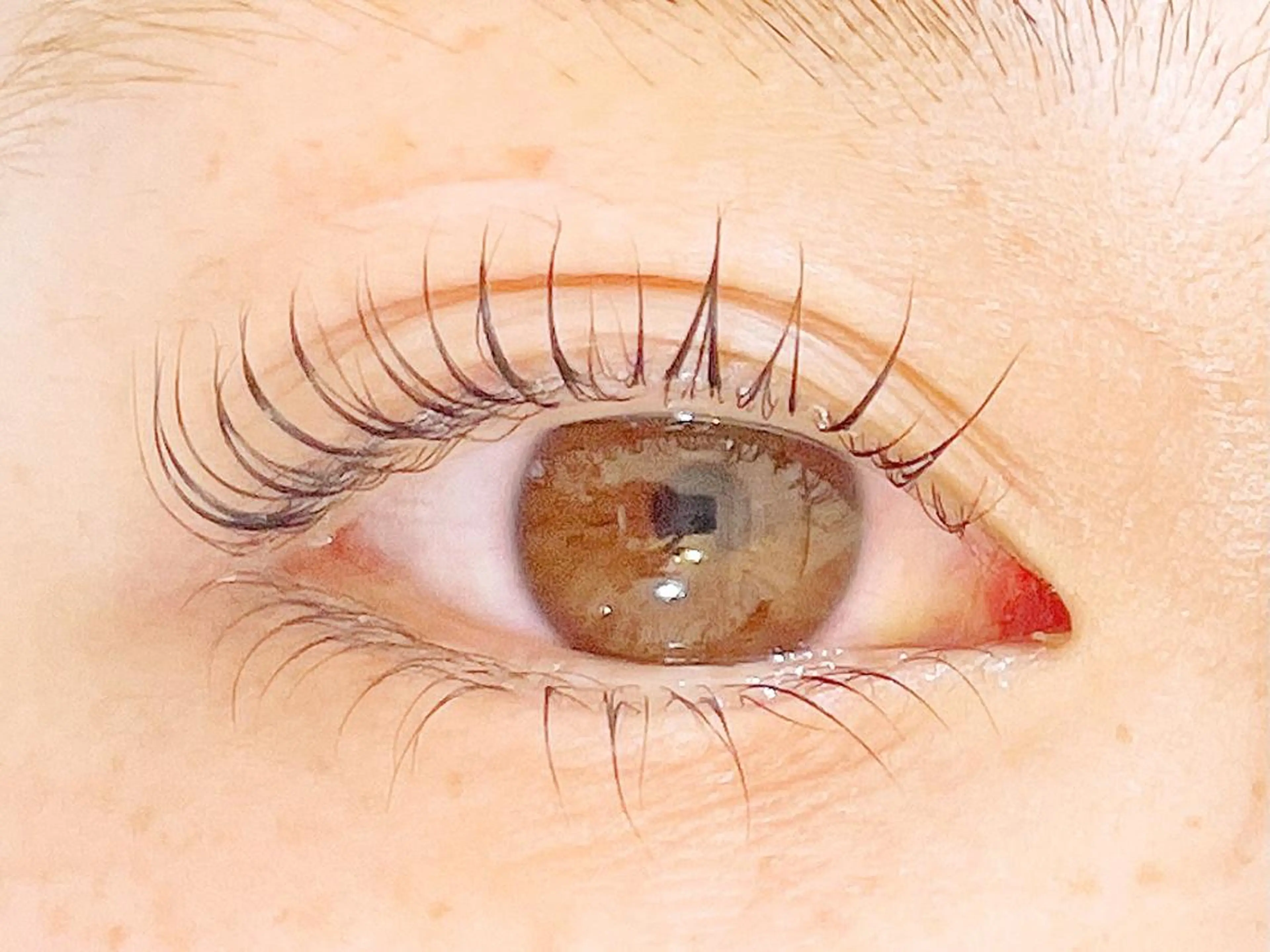 マツエク・マツパ pour voursのマツエク・マツパデザイン