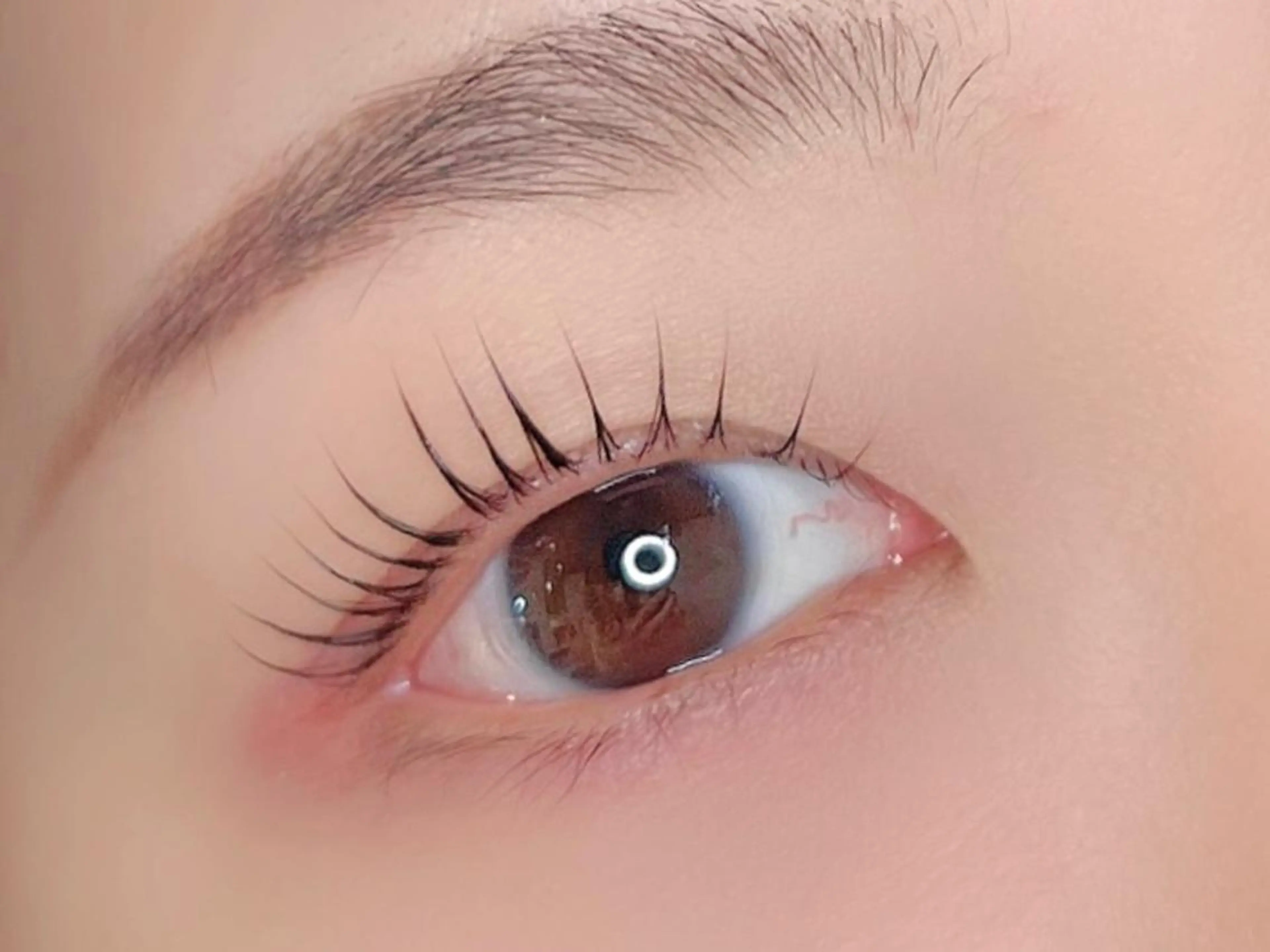 【似合わせデザインまつ毛パーマ】＋【ラッシュアディクトプロ超音波ケア】セット♥︎の写真