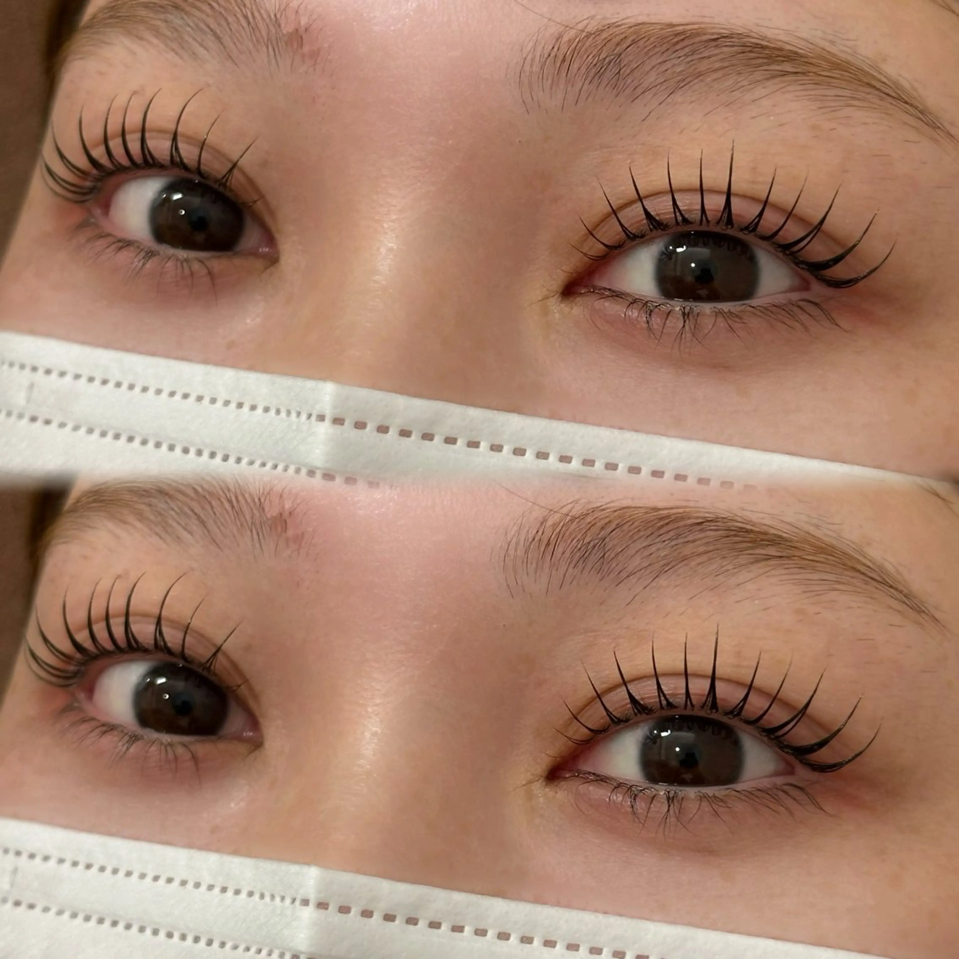 まつ毛パーマorラッシュリフト【新規の方はコチラ】の写真