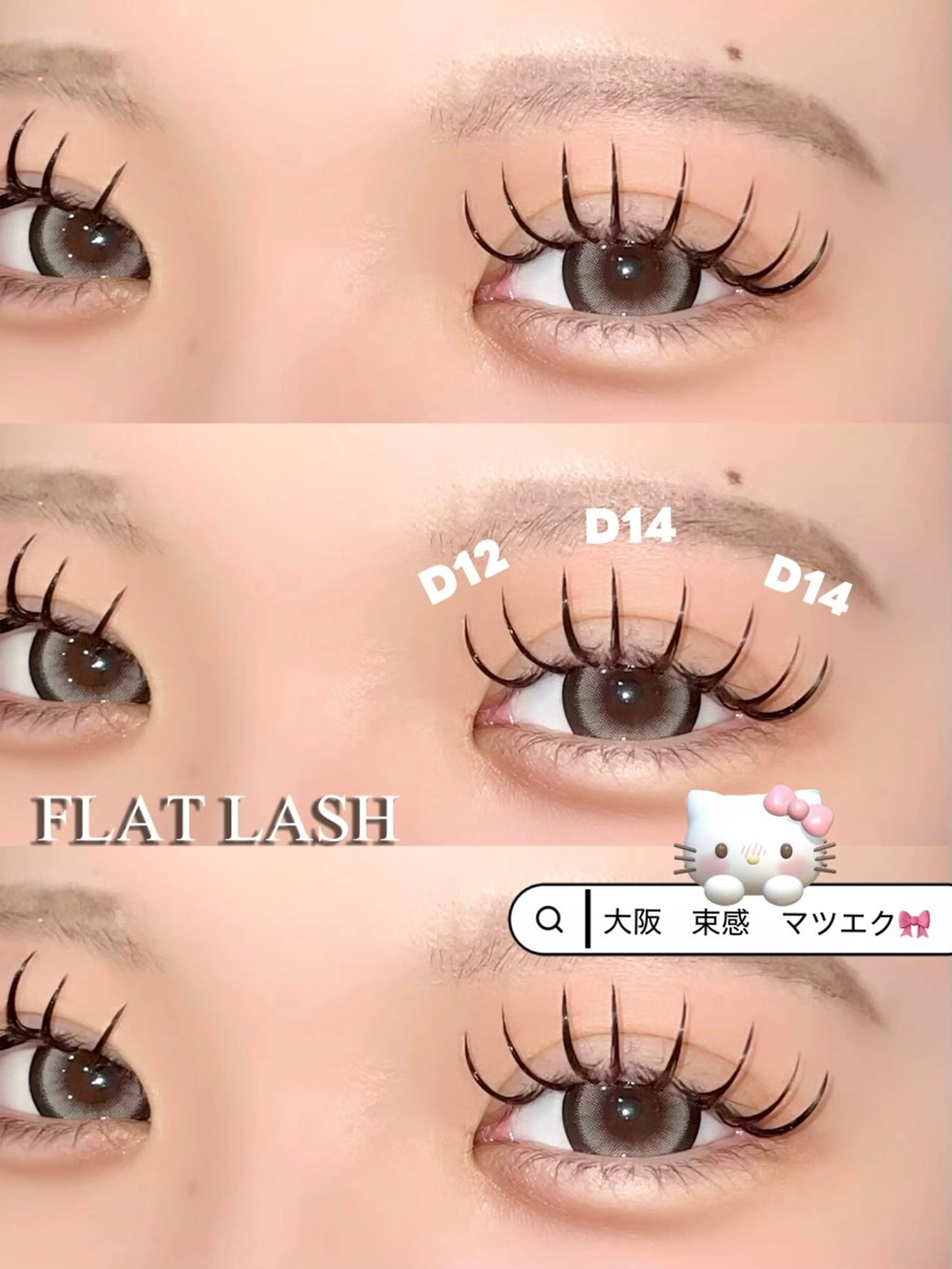 🦋フラットラッシュ付け放題🦋【コーティング付🫧】の写真