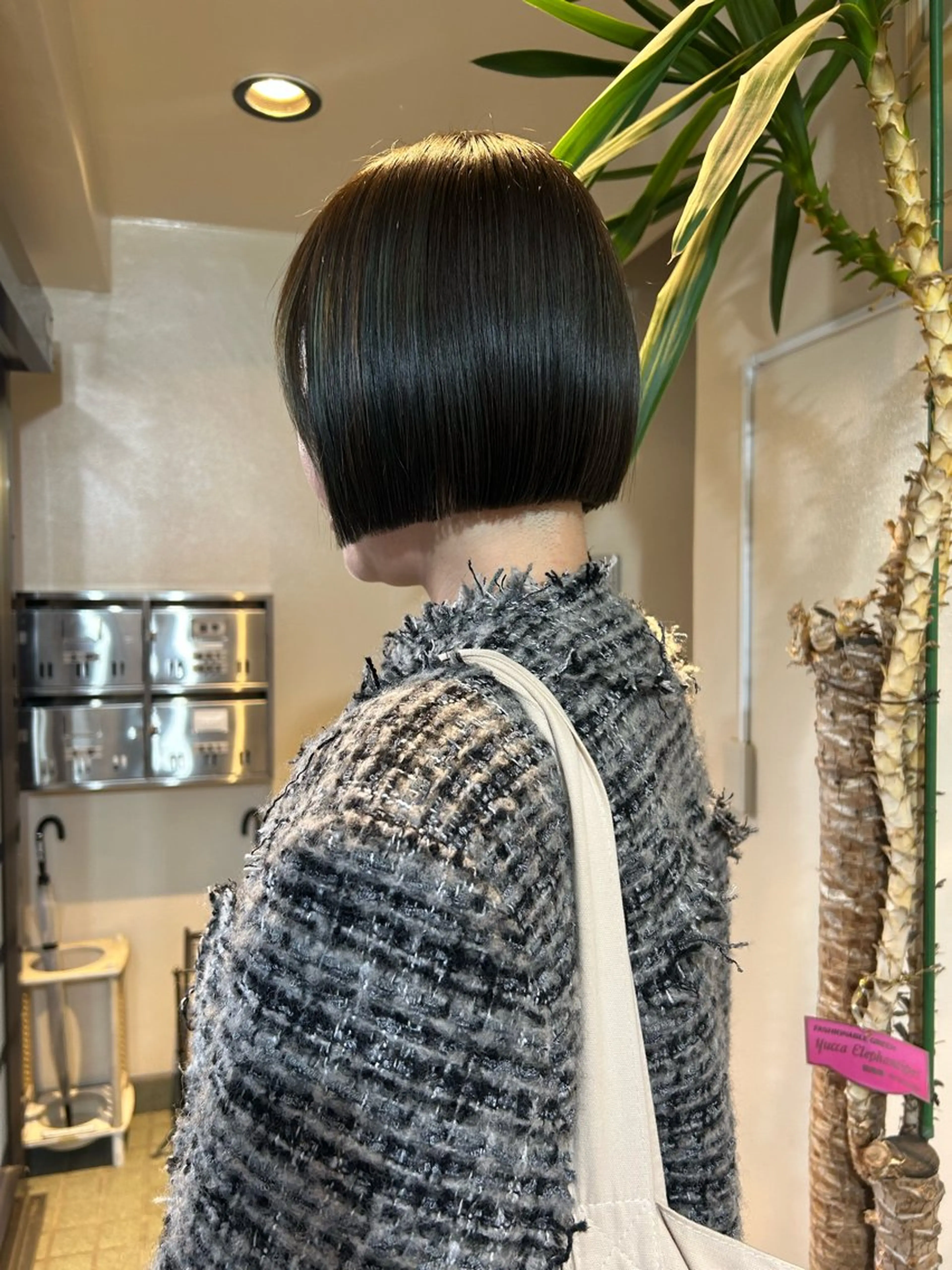 ショート カラー 切りっぱなしボブ グレージュ オリーブカラー オリーブグレージュ オリーブグレー カット ヘアカラー トリートメント ☕️結【suii.】 ボブ/ヘアセット☕️のヘアスタイル