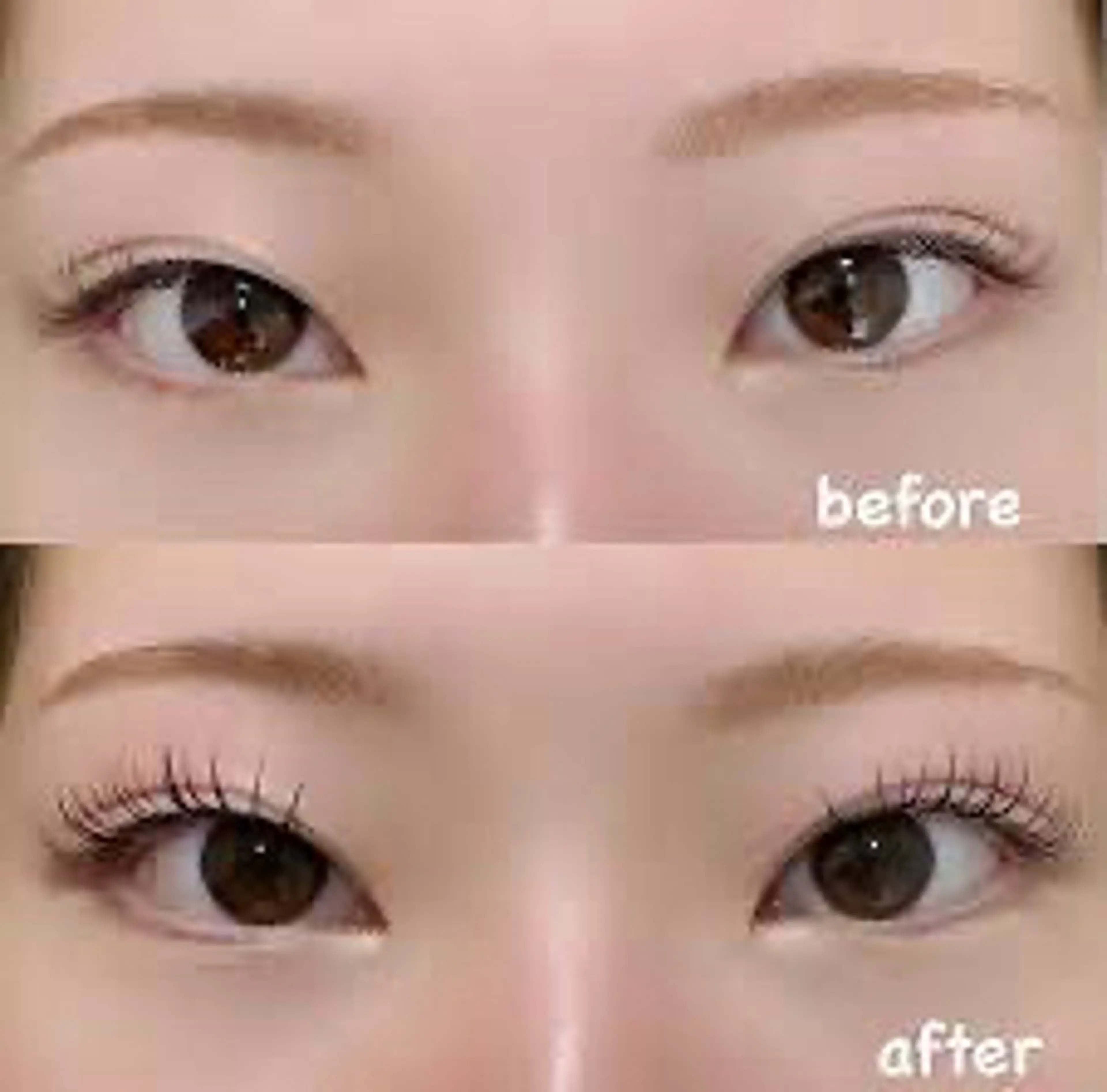 【撮影モデル】 LEDエクステ（上まつ毛80本）→まつ毛パーマ⚠️エクステオフない方の写真