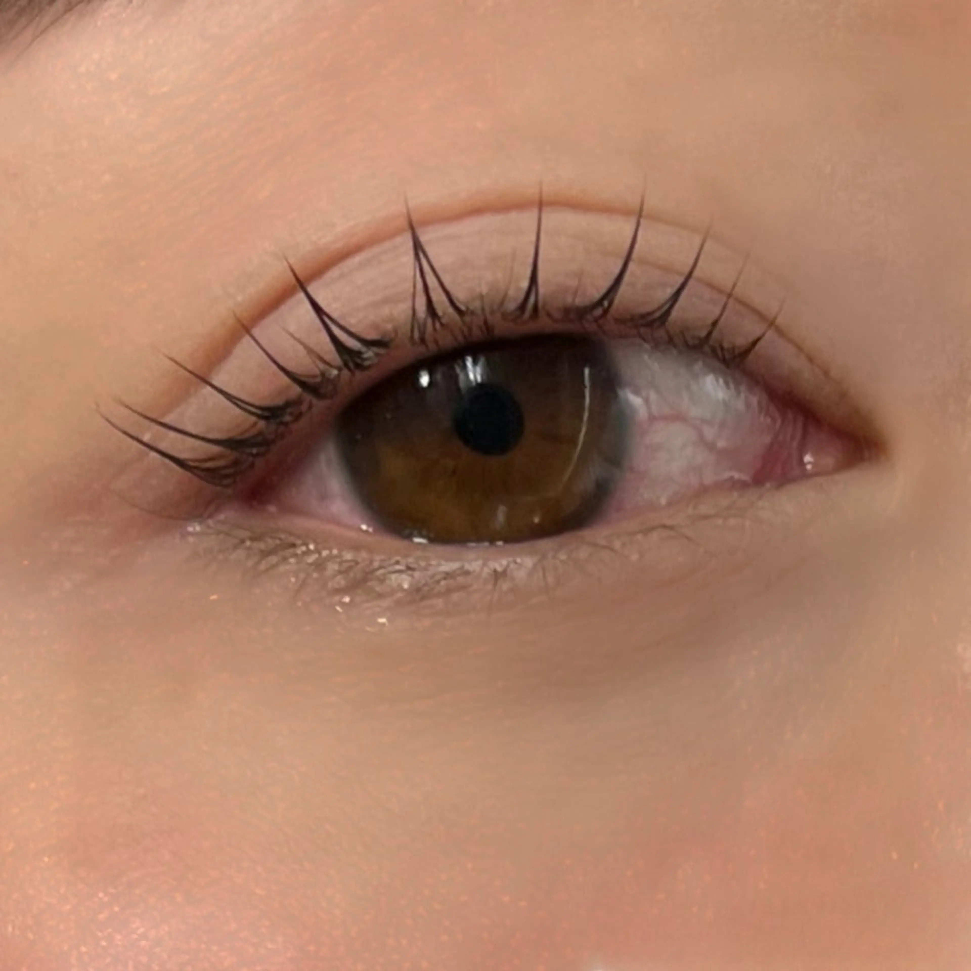 マツエク・マツパ パリジェンヌラッシュリフト Trinity eyelashのマツエク・マツパデザイン