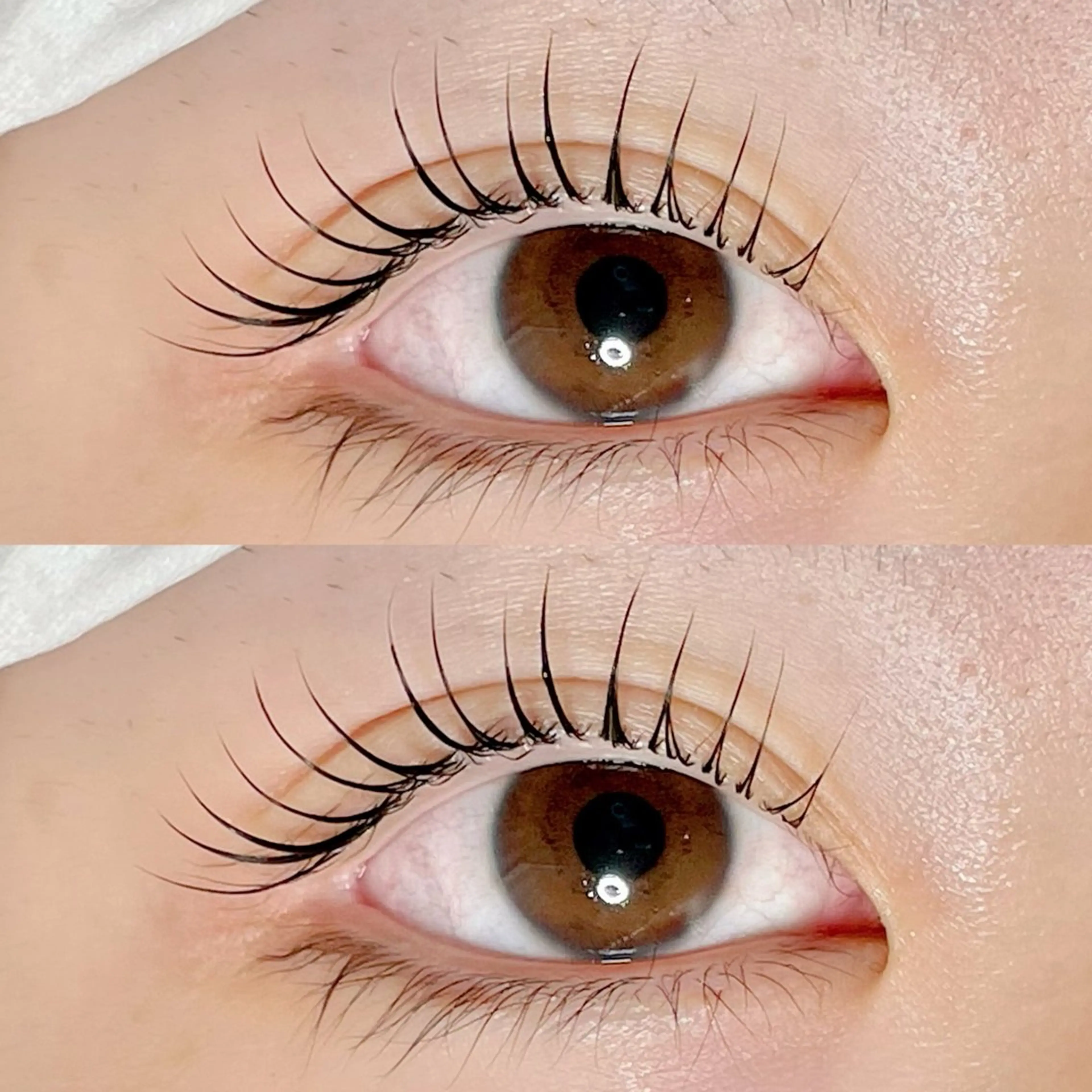 マツエク・マツパ マツパ AYLASH🧡 猪又のマツエク・マツパデザイン